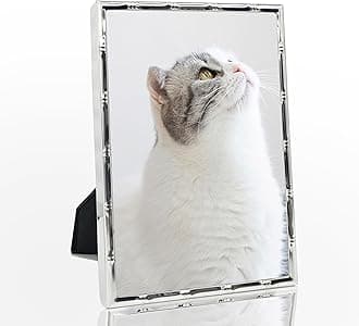 DECANIT 8x10 Picture Frame Metal,Thin Profile Photo Frame 8 by 10 Inch, Display for Wall Mounting or Tabletop,silver