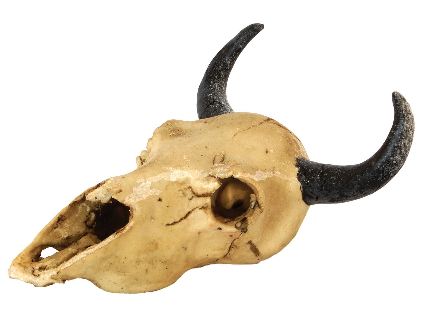 Repstyle Goat Skull Aquarium Ornament