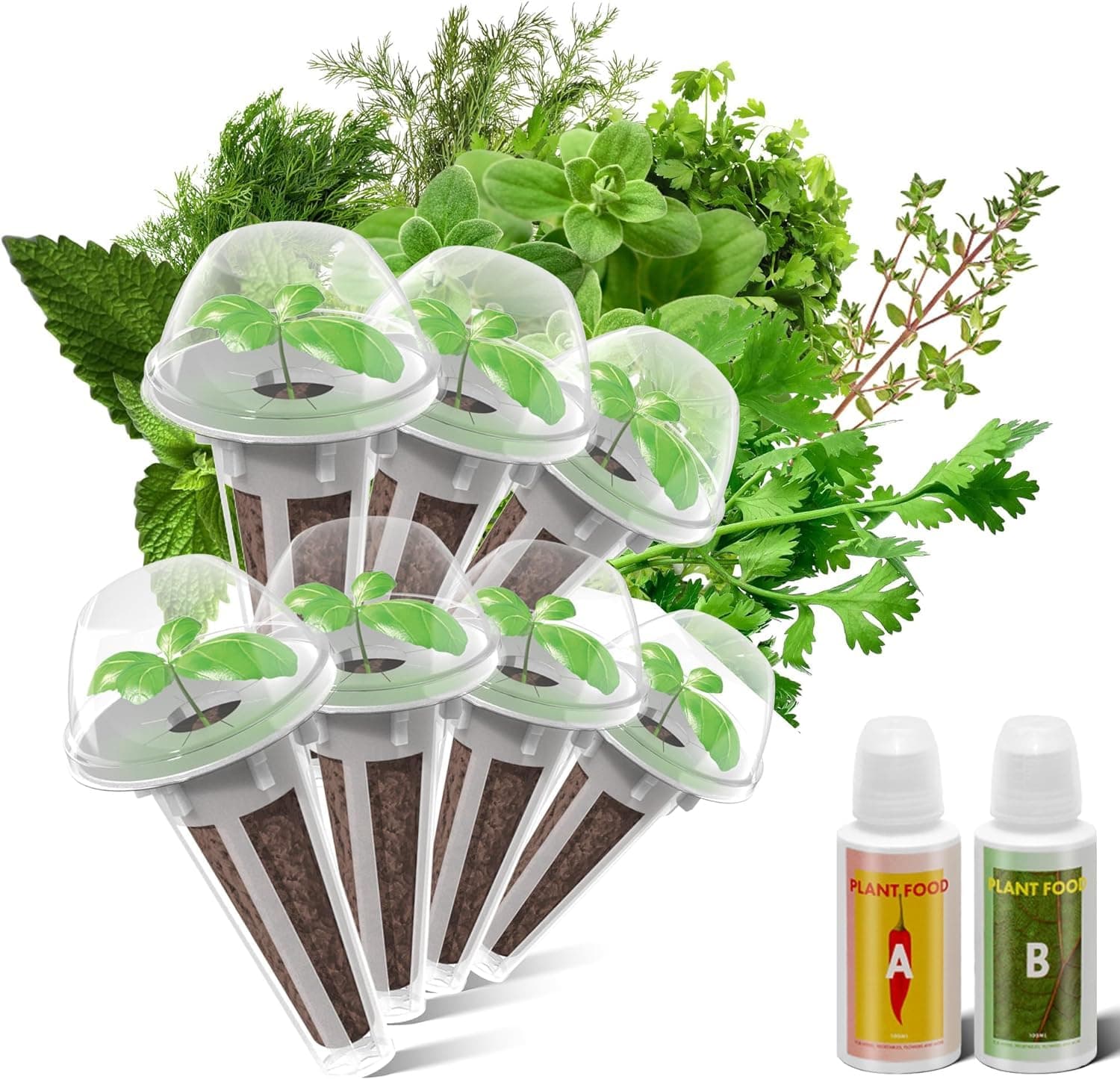 inbloom Culinary Herbs Seed Pod Kit for Hydroponics Growing System, 7 Pods (350+ Seeds with Basil, Parsley, Shis0, Liquorice, Mint, Cilantro, and Chic0ry)