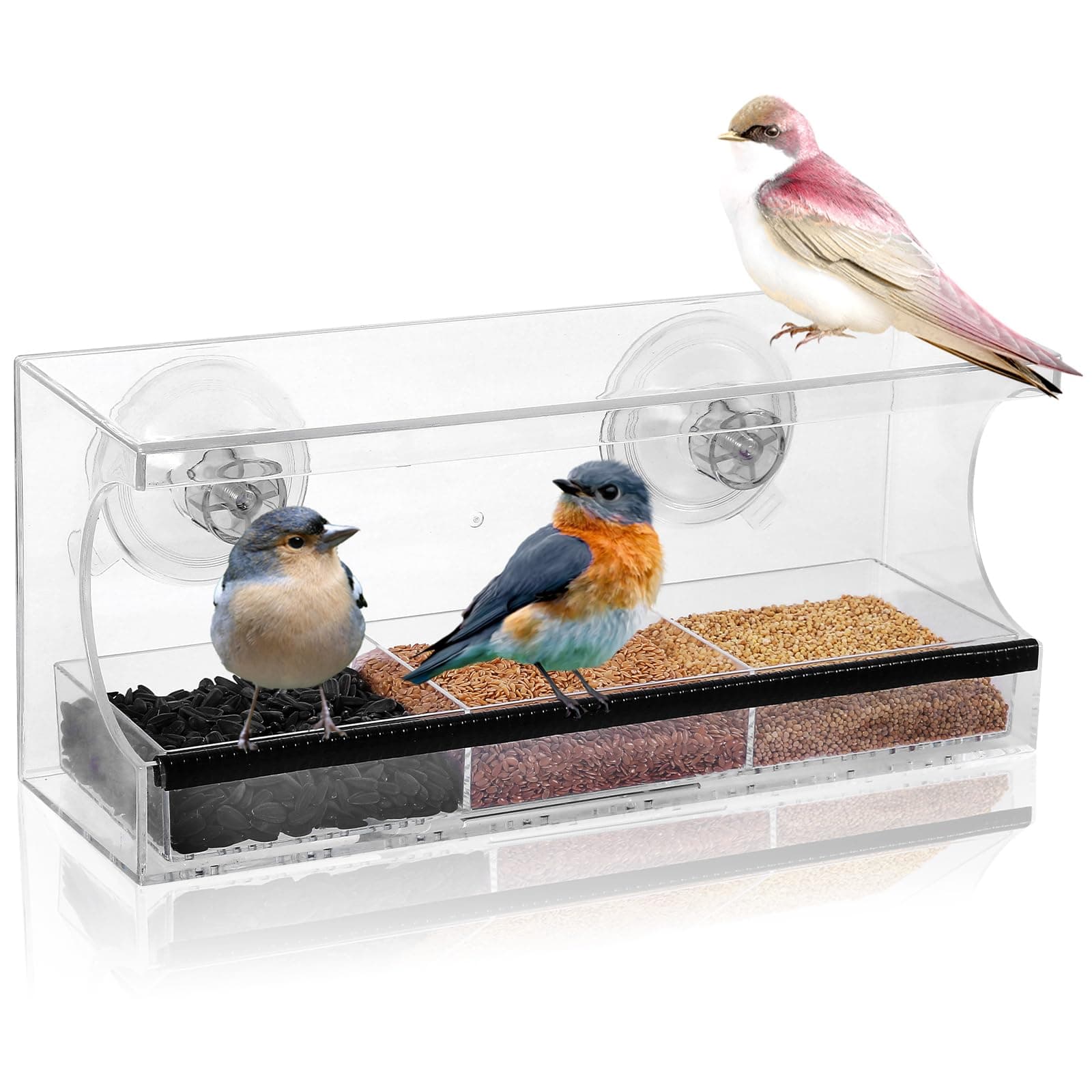 Nature Sphere Window Bird Feeder for Outside,Large Clear View Acrylic Window Mount Outdoor Bird-Feed with Strong Suction Cup for Cat,Kids & Elderly,Bird House Window Bird Feeders for Viewing