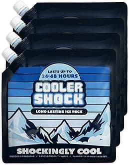 4 Mid-Size Cooler Freeze Packs 10" x 10” The Coldest Pack at 18 Degrees F. No More Ice! Reusable. You Add Water & Save! - C.S. Brand Packs Have Over 4,000 Reviews Averaging 4.6 Stars - Safe USA Made