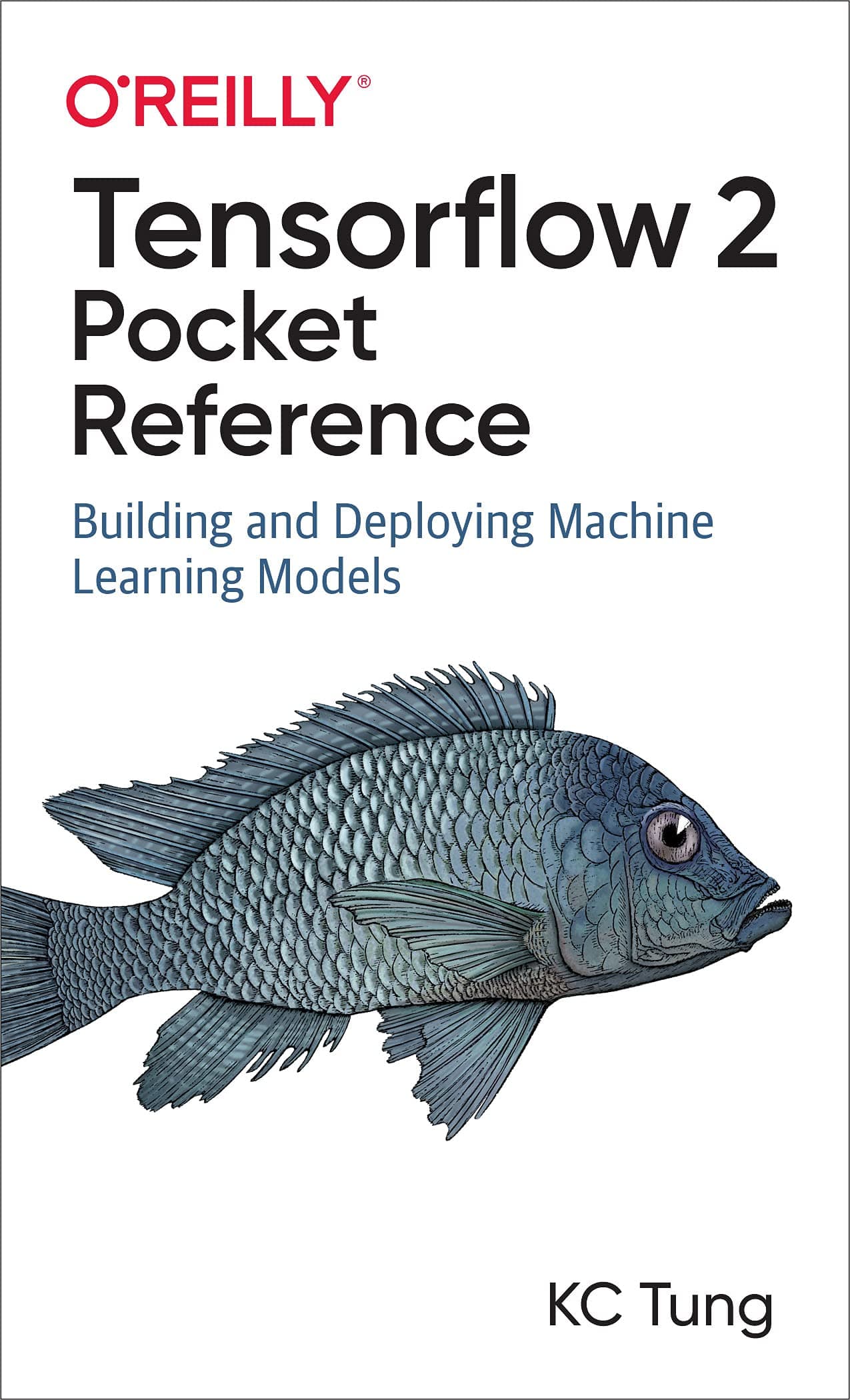 Tensorflow 2 Pocket Reference: Building and Deploying Machine Learning Models Paperback – Import, 31 July 2021
