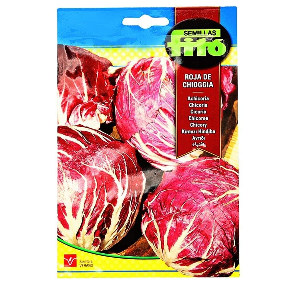 FitoCorn Salad Big Grain