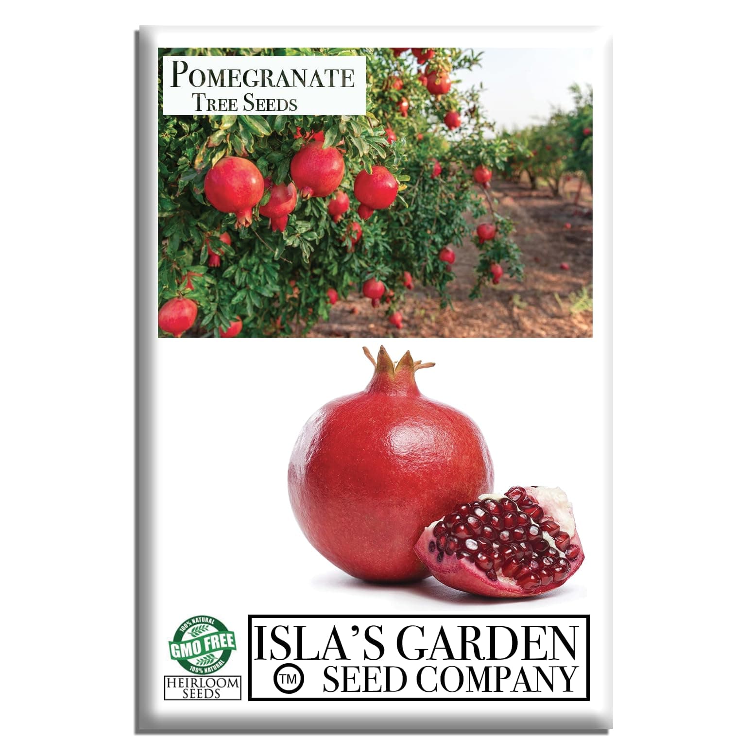 Pomegranate Tree Seeds (Punica granatum) – 30+ Non-GMO Fruit Tree Seeds for Planting, Beautiful Ornamental Tree with Sweet Edible Fruit, by Isla’s Garden Seeds, Gift Idea