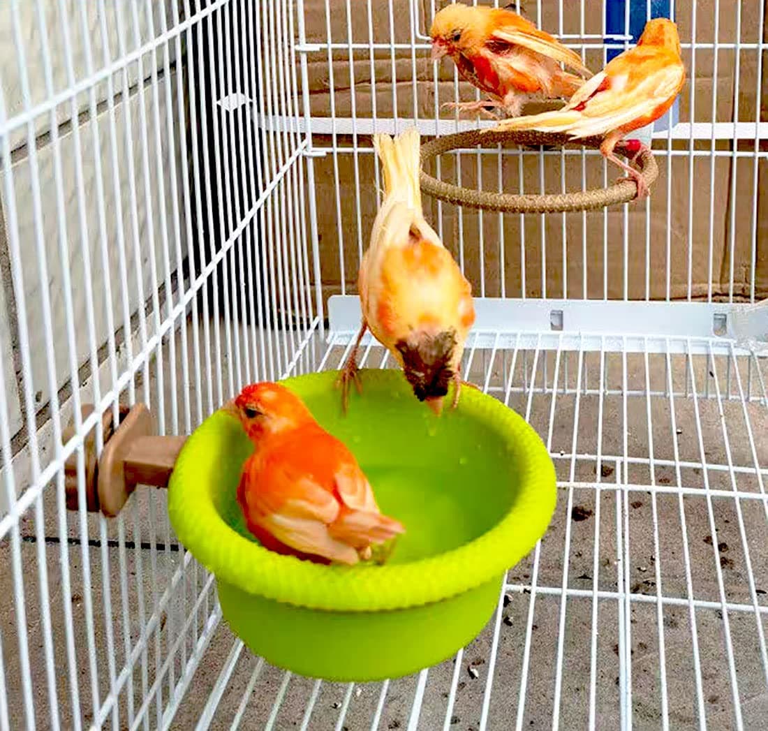 Bird Bath for Cage-4.7" Multi-Function Universal Style Small Tub Bowl for Hang Inside Cage Birdbath Shower for Parrot/Parakeets/Cockatiels/Canary/Budgerigar(Green)