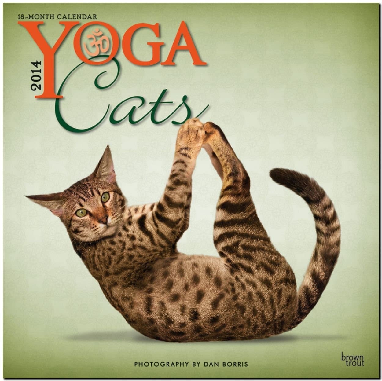 Yoga Cats 2014 Wall Calendar