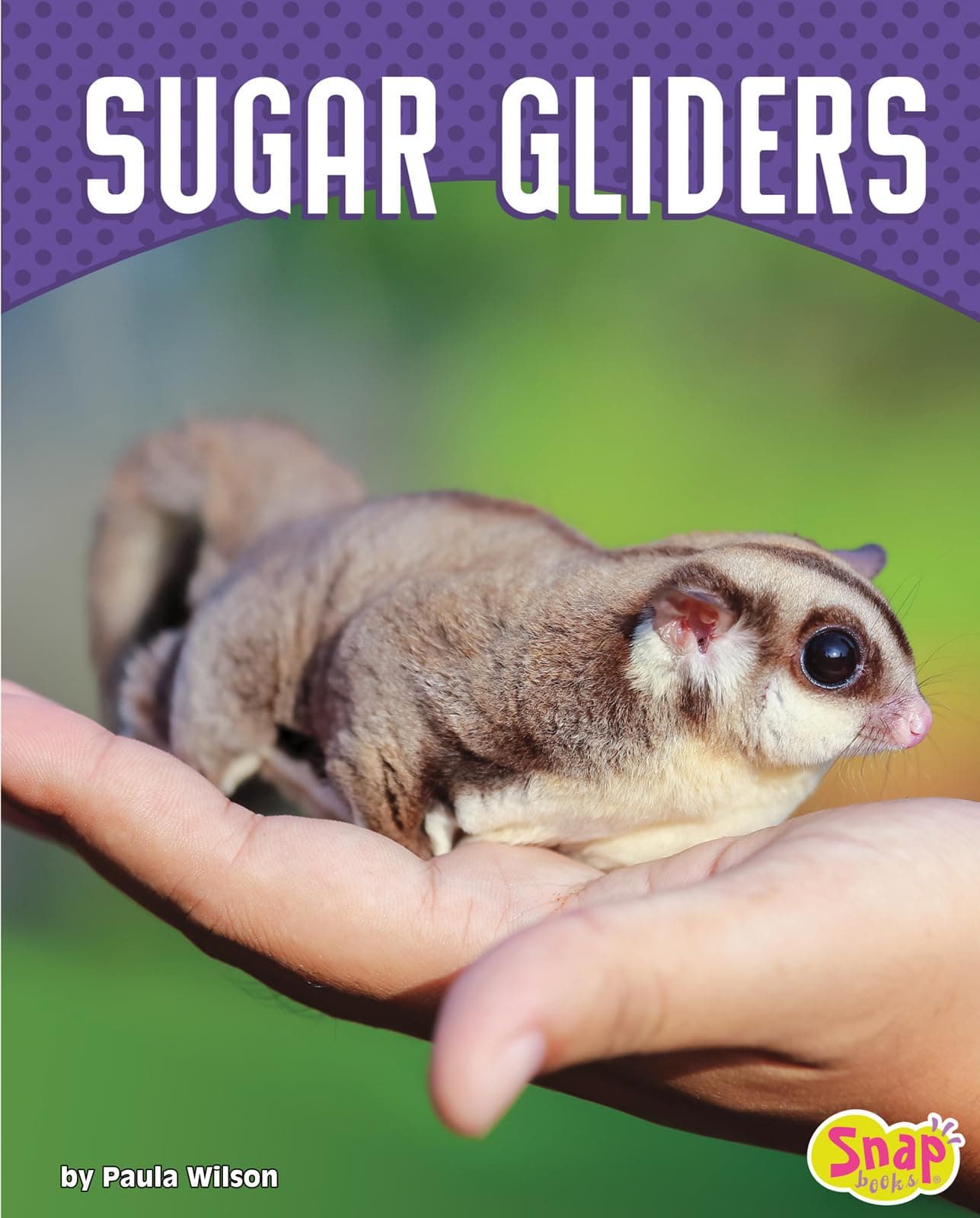 Sugar Gliders Library Binding – Illustrated, 1 August 2018