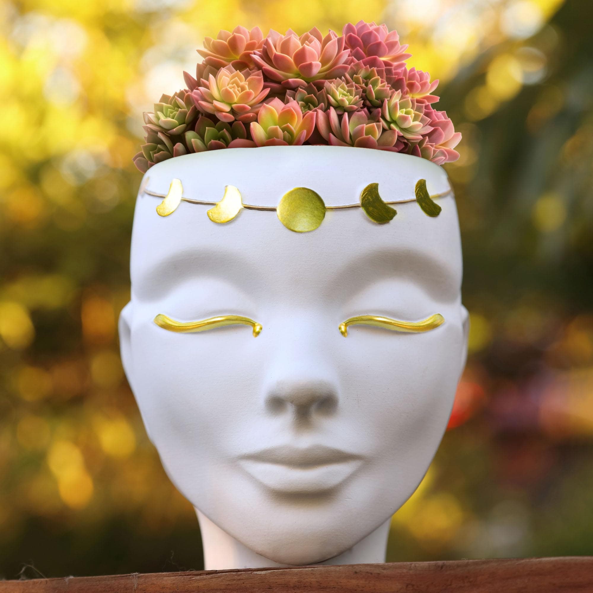 Bossa Linda BL-PTR-W-F-08