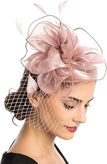 HaojingFascinator Hat Feather Mesh Net Veil Party Hat Ascot Hats Flower Derby Hat with Clip and Hairband for Women