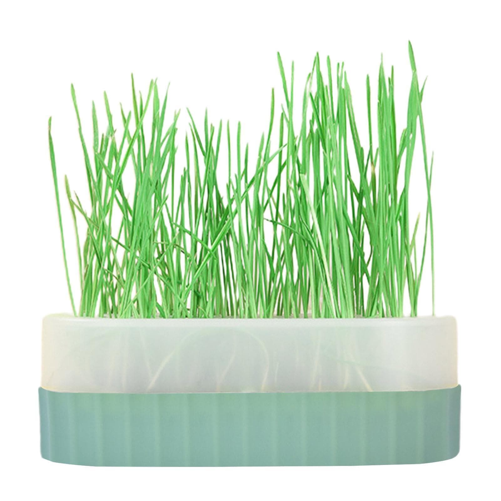 Cat Grass Planter Hydroponic Cat Grass Growing Kit Germination Propagation Trays Catnip Wheatgrass Seed Sprout Tray Cats Wheat Grass Growing and Sprouting Containers for Backyard Garden Living Room