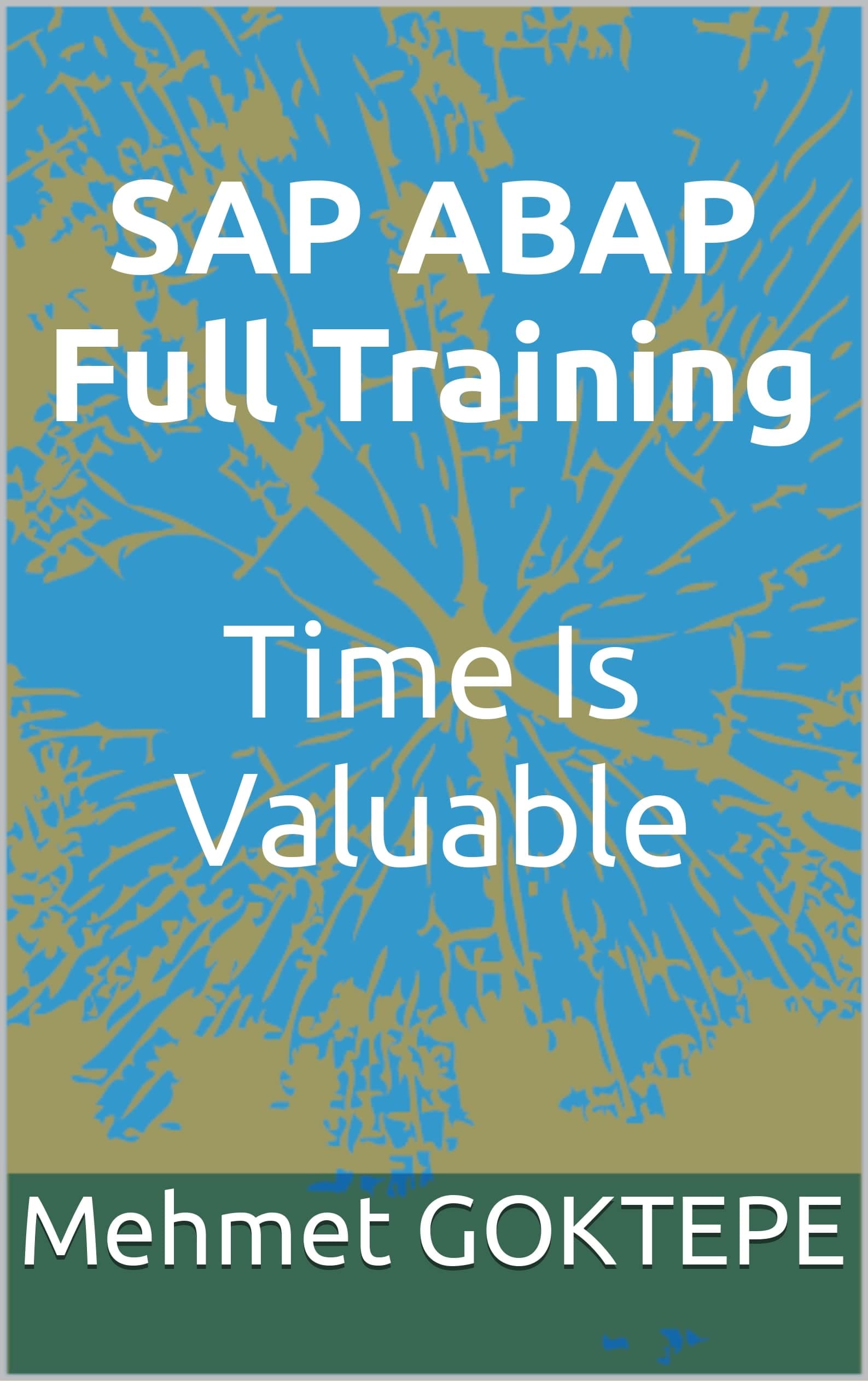 SAP ABAP Full Training - Time Is Valuable: sap mm module, sap mm jobs, sap mm interview questions, sap mm certification, sap mm consultant