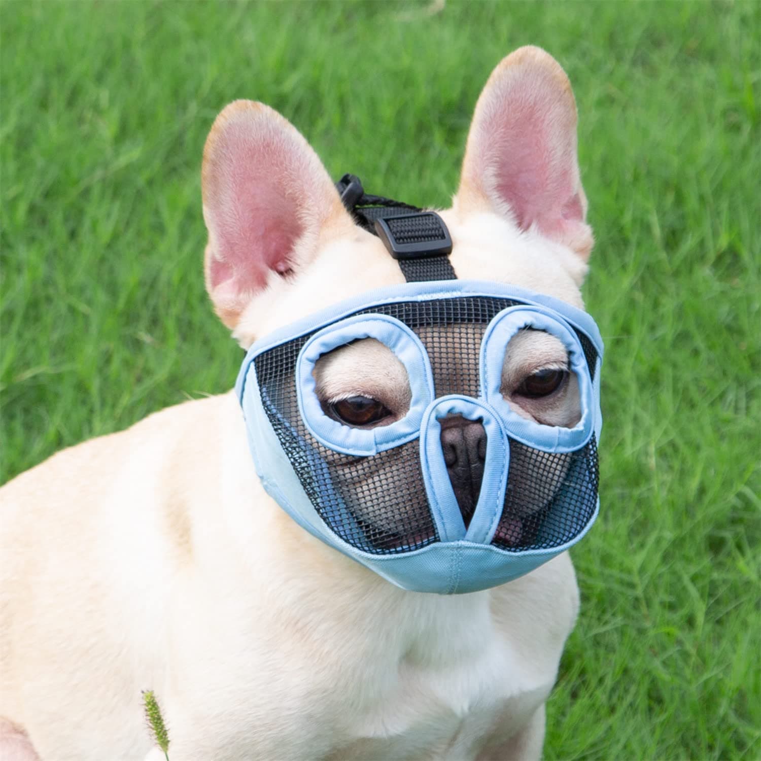 Short Snout Dog Muzzles- Adjustable Breathable Mesh Bulldog Muzzle for Biting Chewing Training Grooming Dog Mask,Blue S