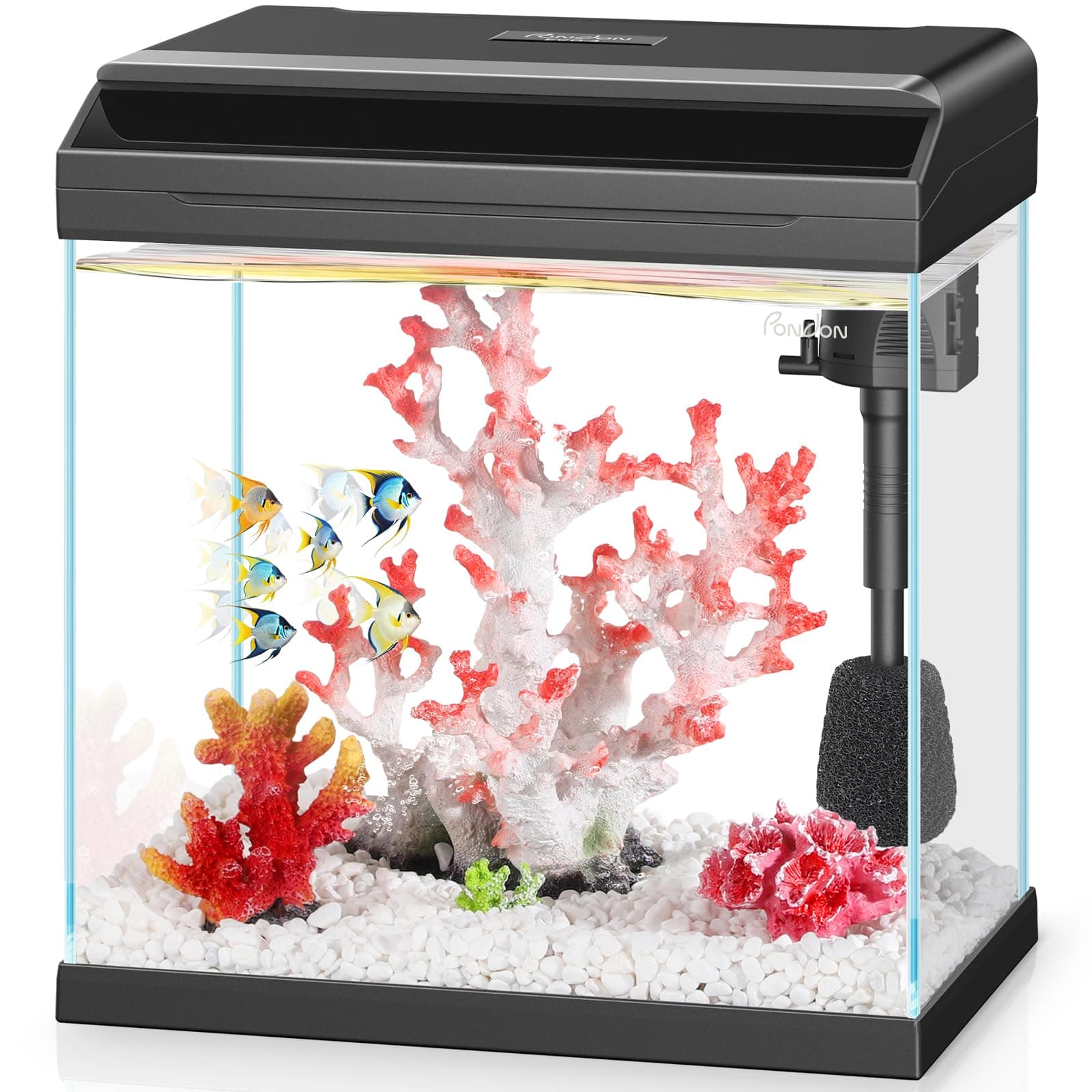PONDON 4 Gallon Fish Tank Pro