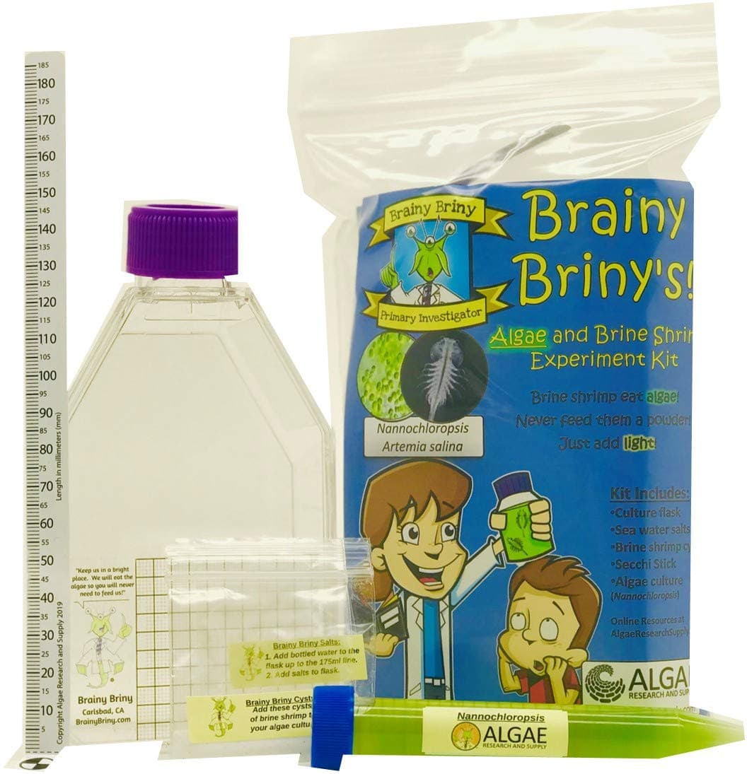 Algae Research Supply Brainy Briny's Algae and Brine Shrimp Experiment Kit