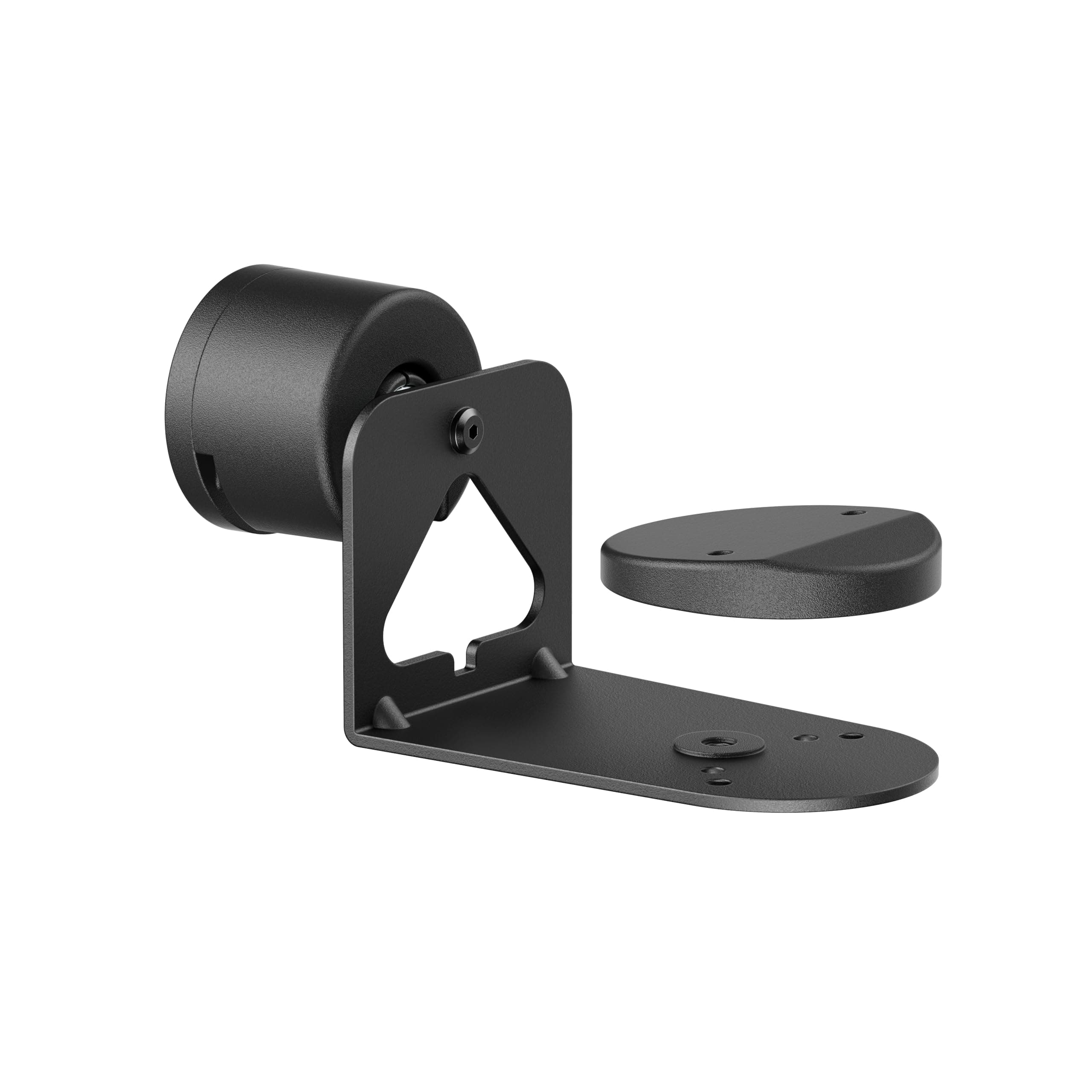 Speaker Bracket for Sonos Era 100 and 300, Speaker Wall Mount with Cable Management, Swivelling +/-30°, 5 kg Load Capacity, Black (Wall Mount)