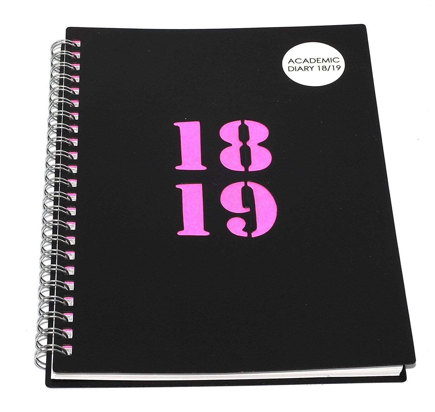 HIGH Quality Pink A5 Day Per Page Academic Diary 2018-2019