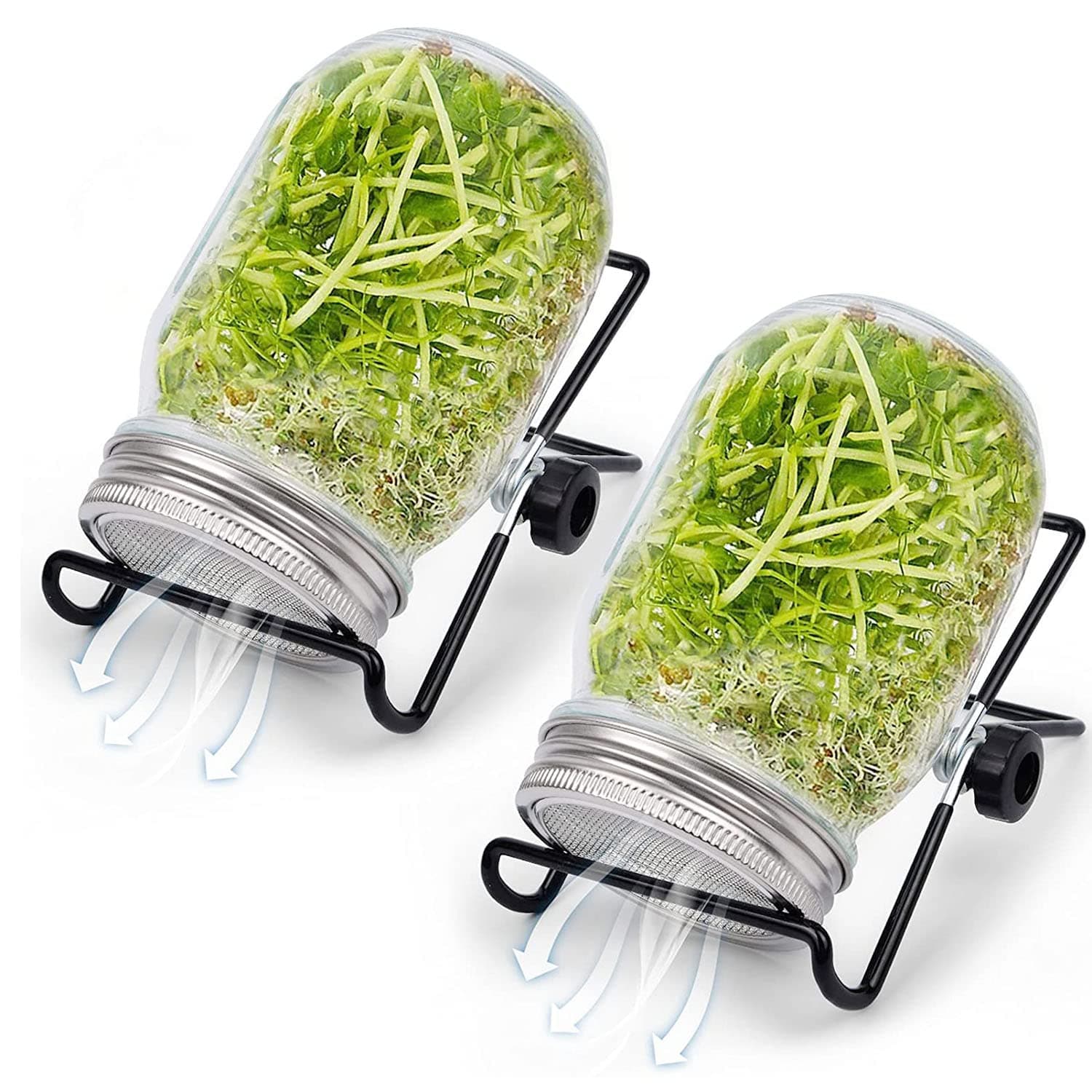 Sprouting Jar Kit, 2pcs Wide Mouth Quart Mason Jars with Stainless Steel Screen Sprout Lids,with Stand, Seed Sprouts Growing Kit for Broccoli Sprout, Microgreens, Alfalfa, Mung Beans