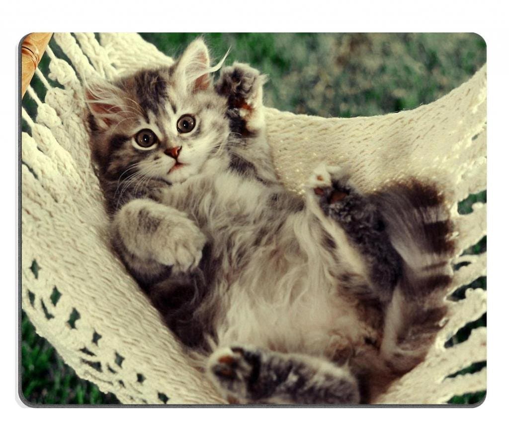 Dream Painter Neoprene Rubber Mouse Pad Cat 9.8 Inch (250mm) X 7.9 Inch (200mm) X 0.1 Inch (2mm) Customized Made Colorful Photo Picture Laptop Desktop Computer Gaming Support All Kind of Mouses Soft Good for Skin Comfortable