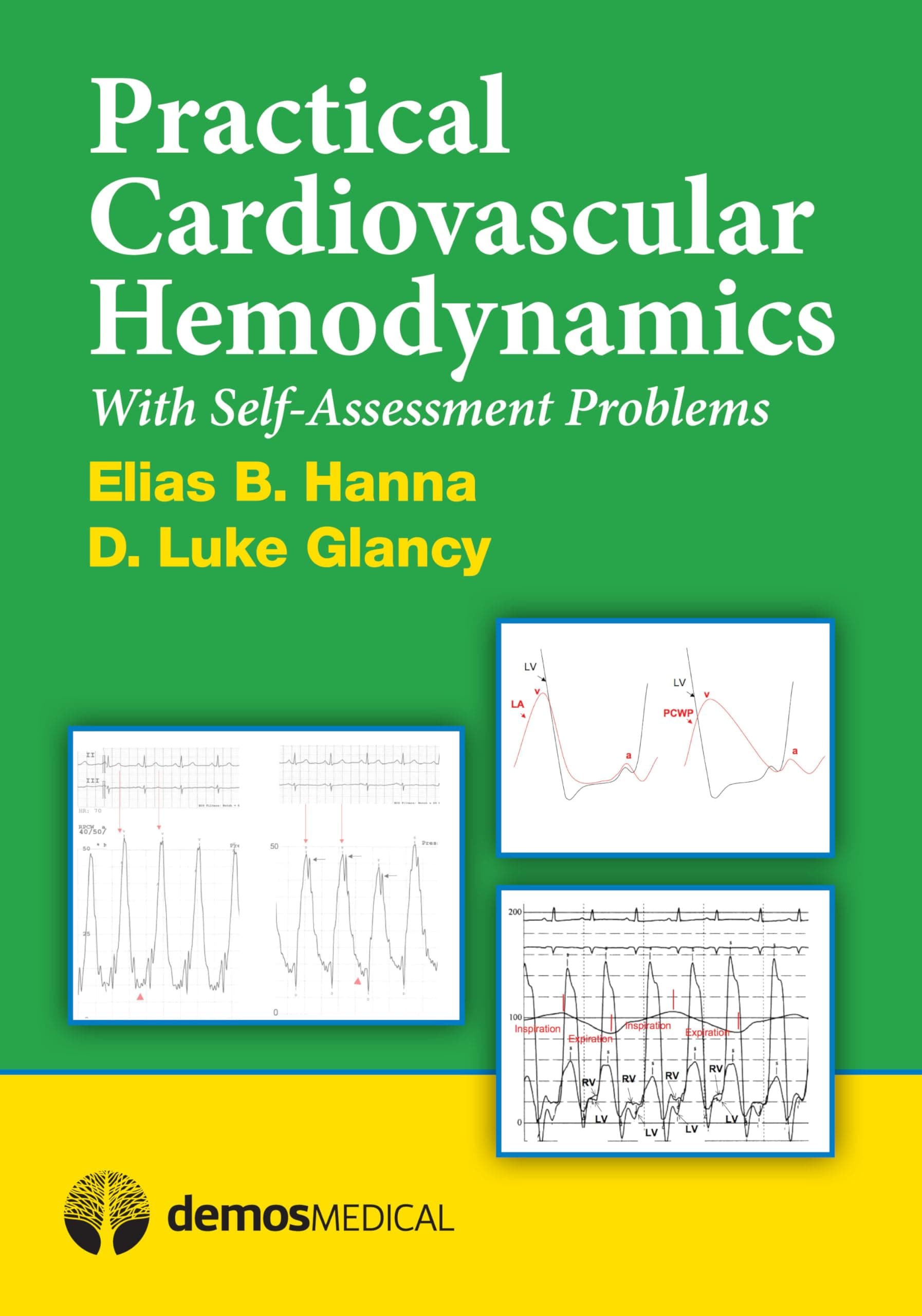 Practical Cardiovascular Hemodynamics: With Self-Assessment Problems Paperback – 30 August 2012