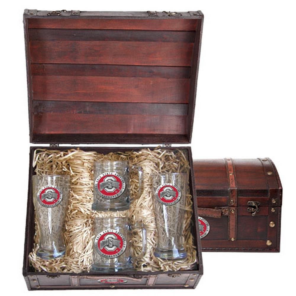 Ohio State Buckeyes Beer Glass and Stein Gift Set