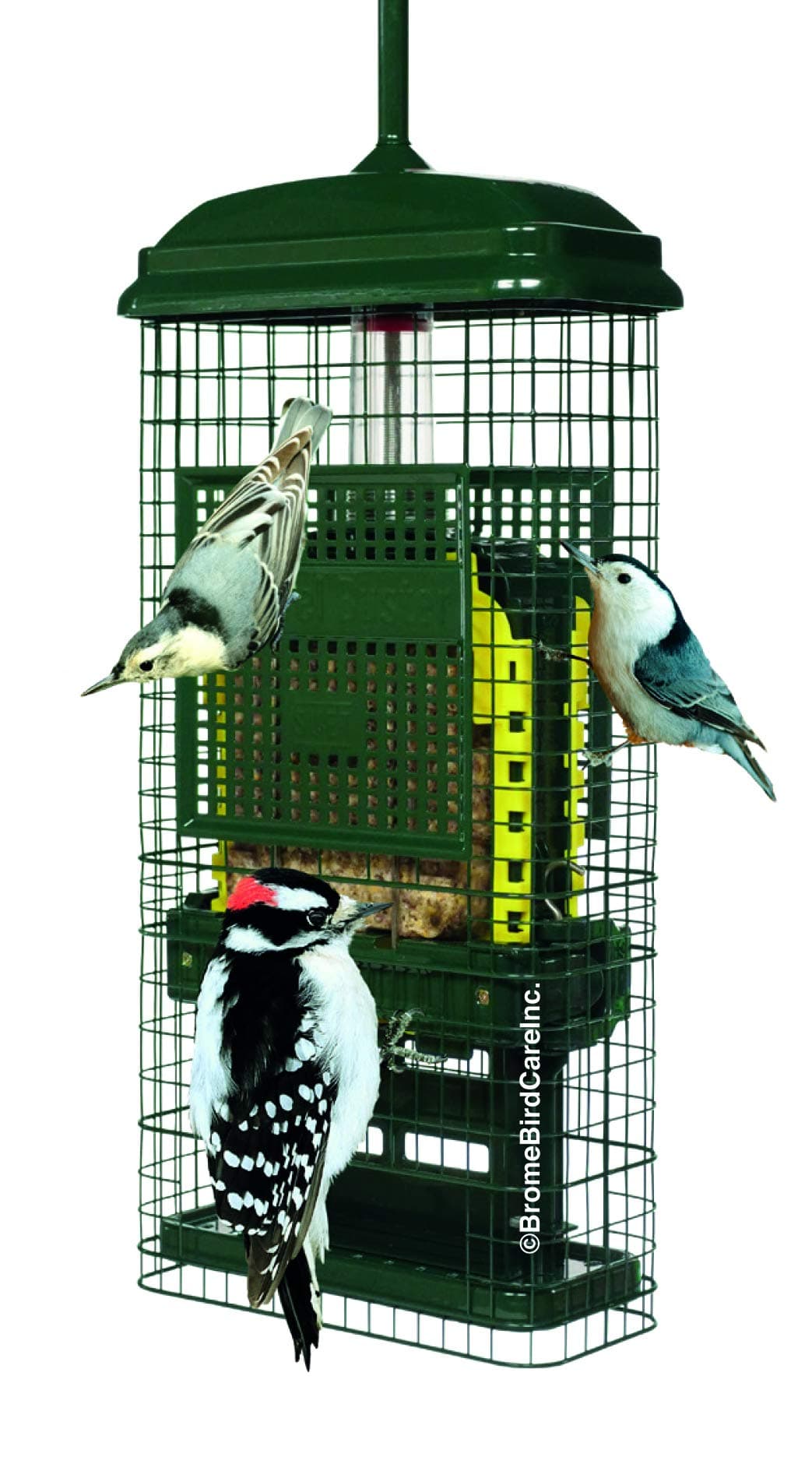 Squirrel Buster Suet Squirrel-Proof Suet Bird Feeder w/2 Suet Cake Trays, 2 Crumb Ports, Mess-Free Suet Loading