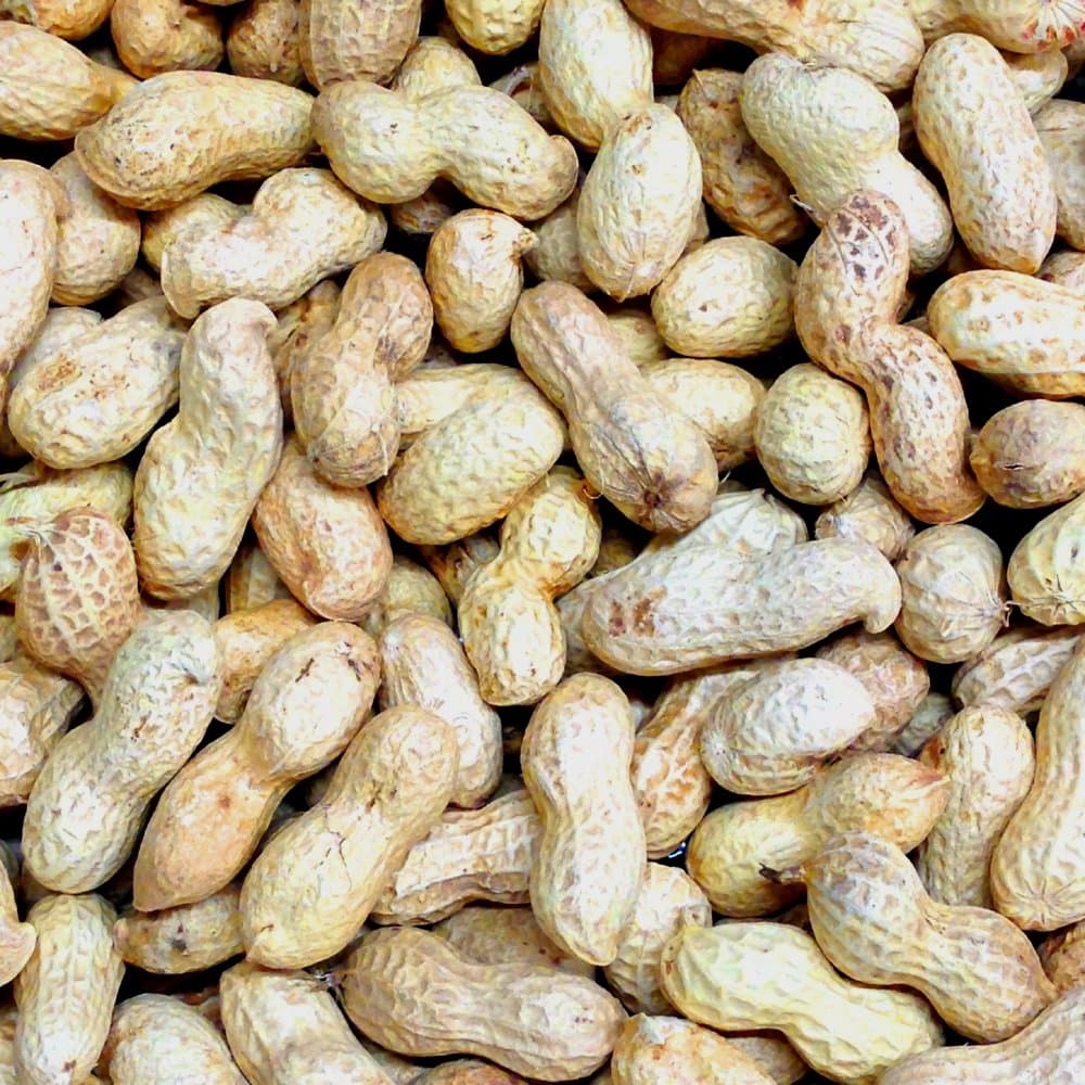 11.3kg (25lb) 'Wheatsheaf' Peanuts in Shell
