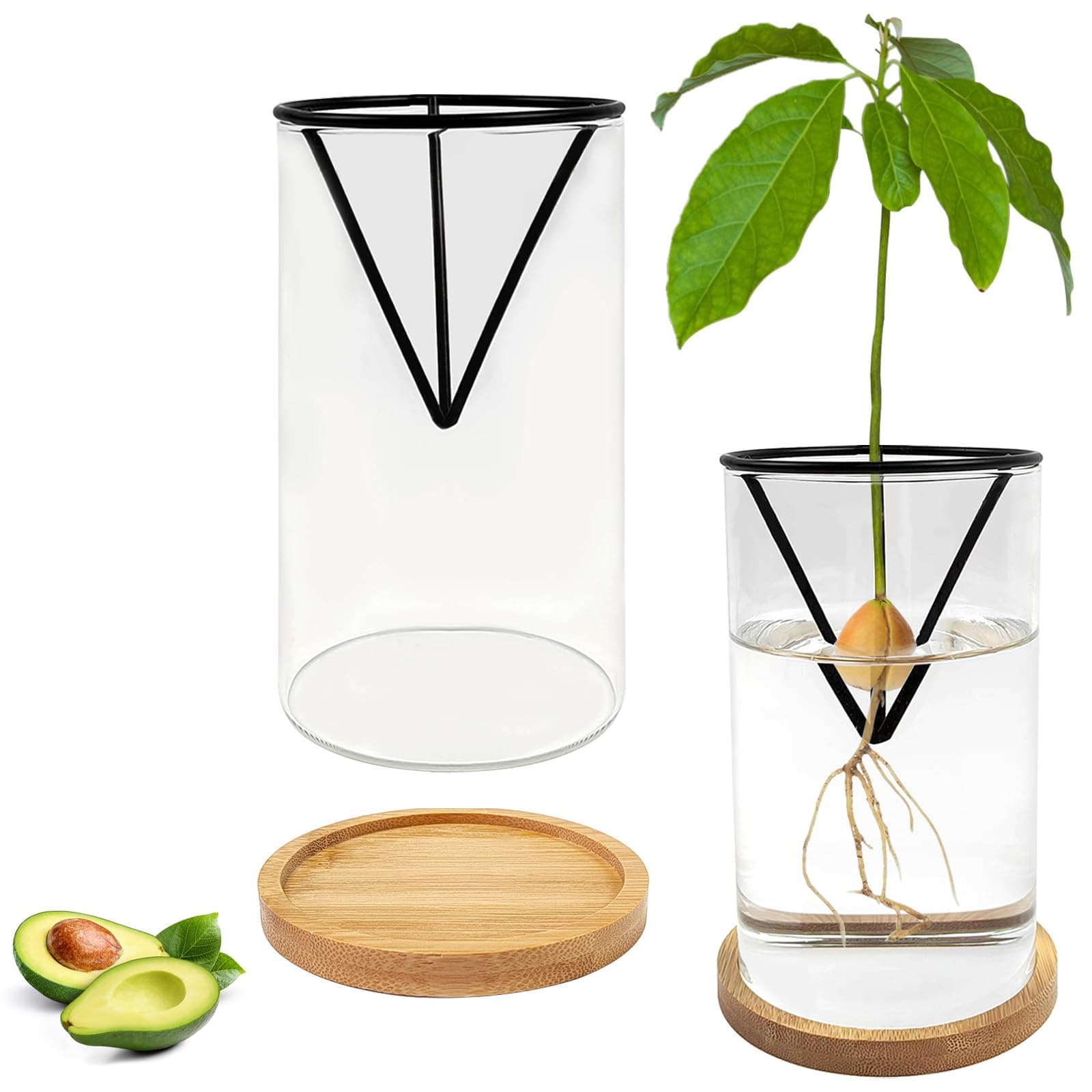 Hlimior 2 Pack Avocado Tree Growing Kit, Avocado Pit Planting Bowl with 2 Metal Stand and 2 Wooden Base, Avocado Seed Starter Vase Glass Plant Pot for Family Friends and Gardening Enthusiast