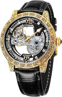 Men's Luxury Skeleton Tourbillon Mechanical Automatic Watch, Transparent Dial, Roman Numeral, 30M Water Resistant, Black Stainless Steel Bracelet, AH526