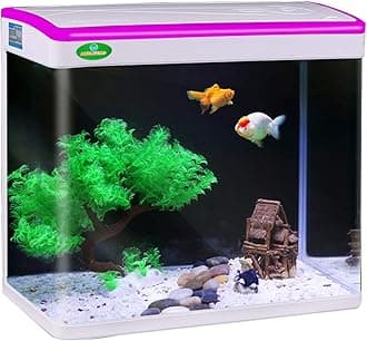 JAINSONS PET PRODUCTS Fish Tank Mini Aquarium, with Finger Touch Color Change LED Small Size 8 Liter(Color May Vary)