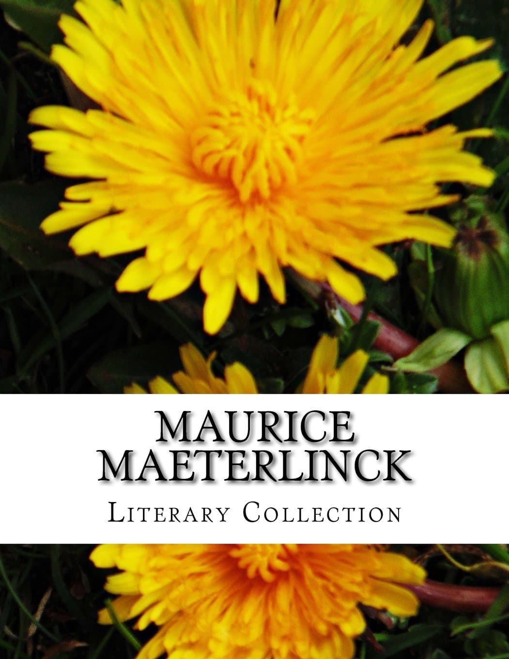 Maurice Maeterlinck, Literary Collection