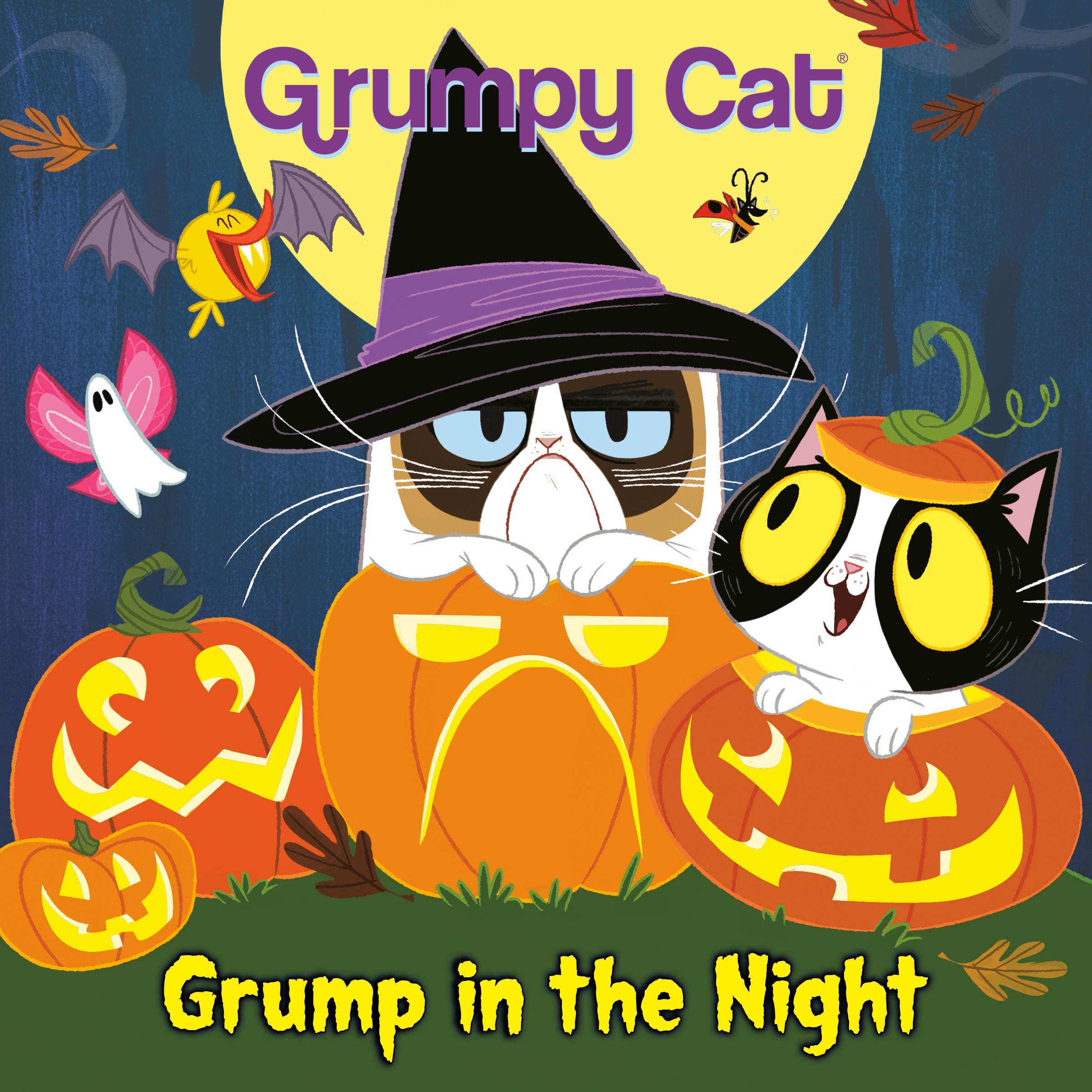 Grump in the Night (Pictureback(R))