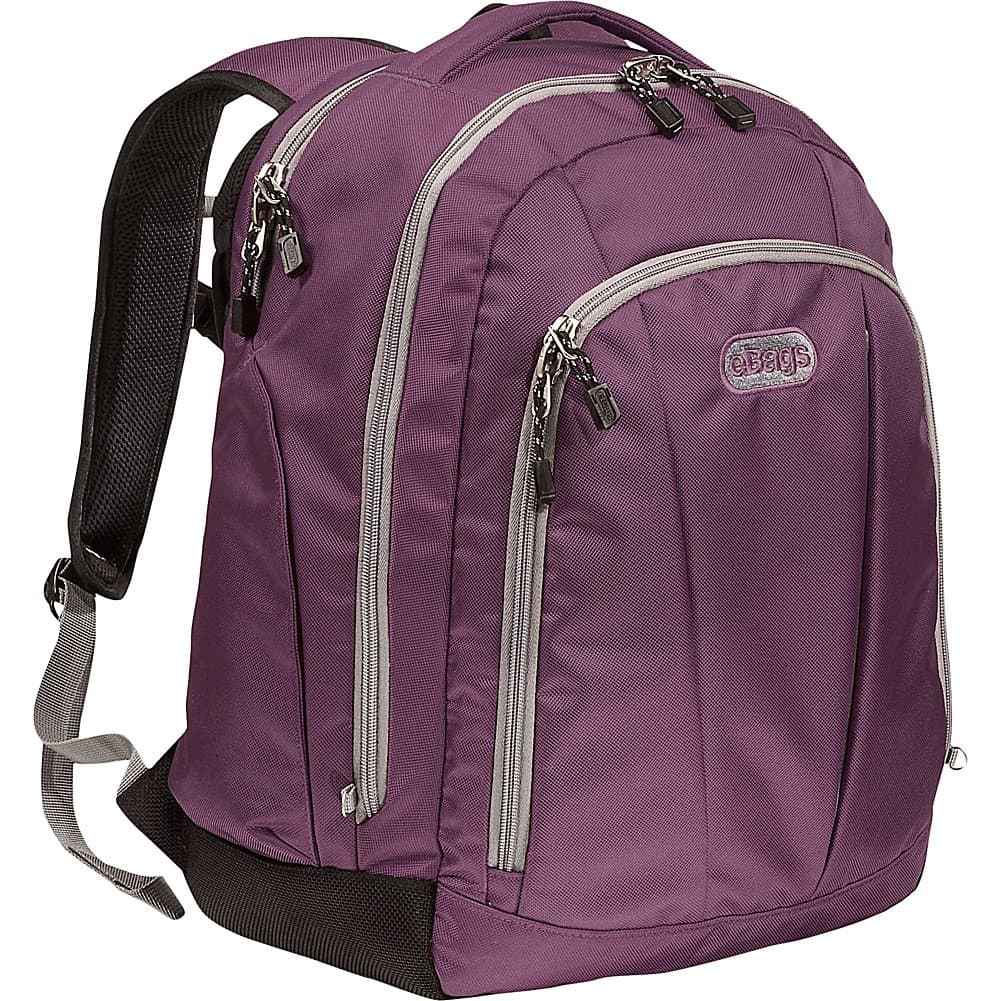 eBags TLS Workstation Laptop Backpack (Eggplant)
