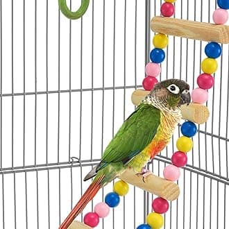 Yaheetech 39inch Iron Roof Top Bird Cage Parakeet Cage Parrot Cage for Small Birds Canary Budgie Cockatiel Lovebirds with Swing & Ladder