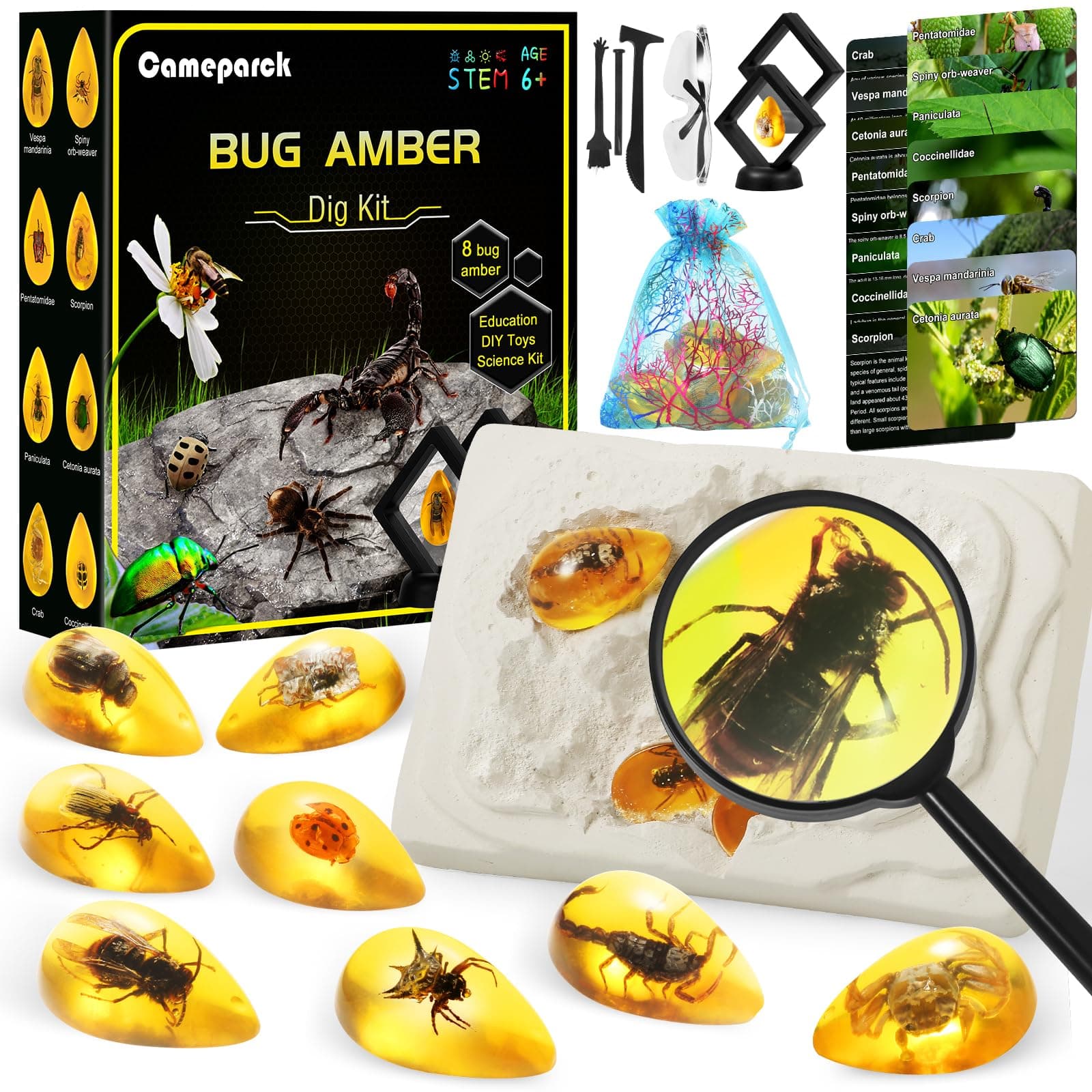 Bigger Amber Dig Kit-8 Artificial Insect Resin, Excavate Unique Insect Specimens, STEM Excavation Bugs Toys Science Kit for Kids,Educational Gifts Party Favors for Girls & Boys Age 6-8-12-14