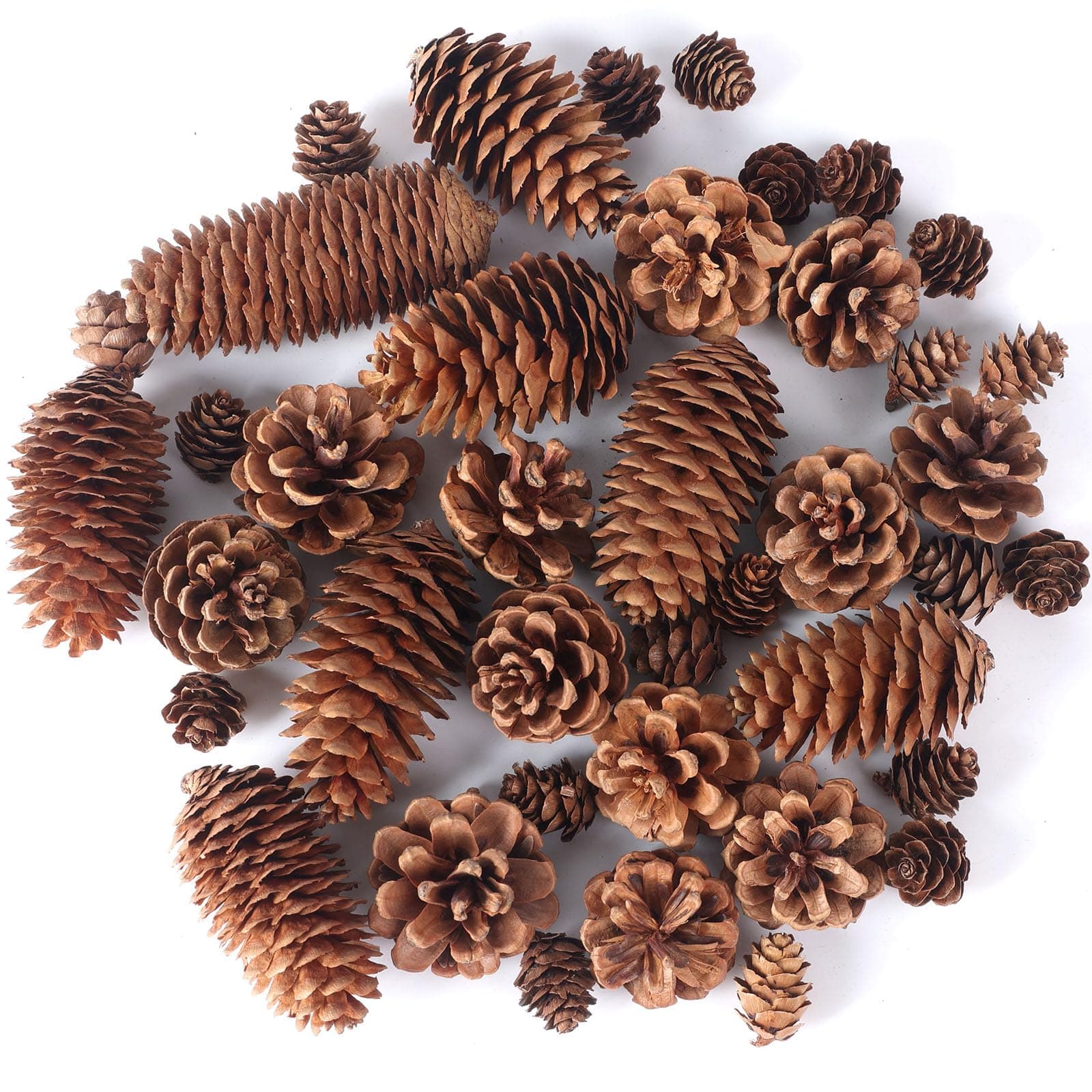 JOHOUSE 40PCS Natural Pine Cones Bulk, Pinecones Decorations Pine Cone Ornaments for Crafts Thanksgiving Christmas Wreath Table Bowl Decor, Winter Vase Filler