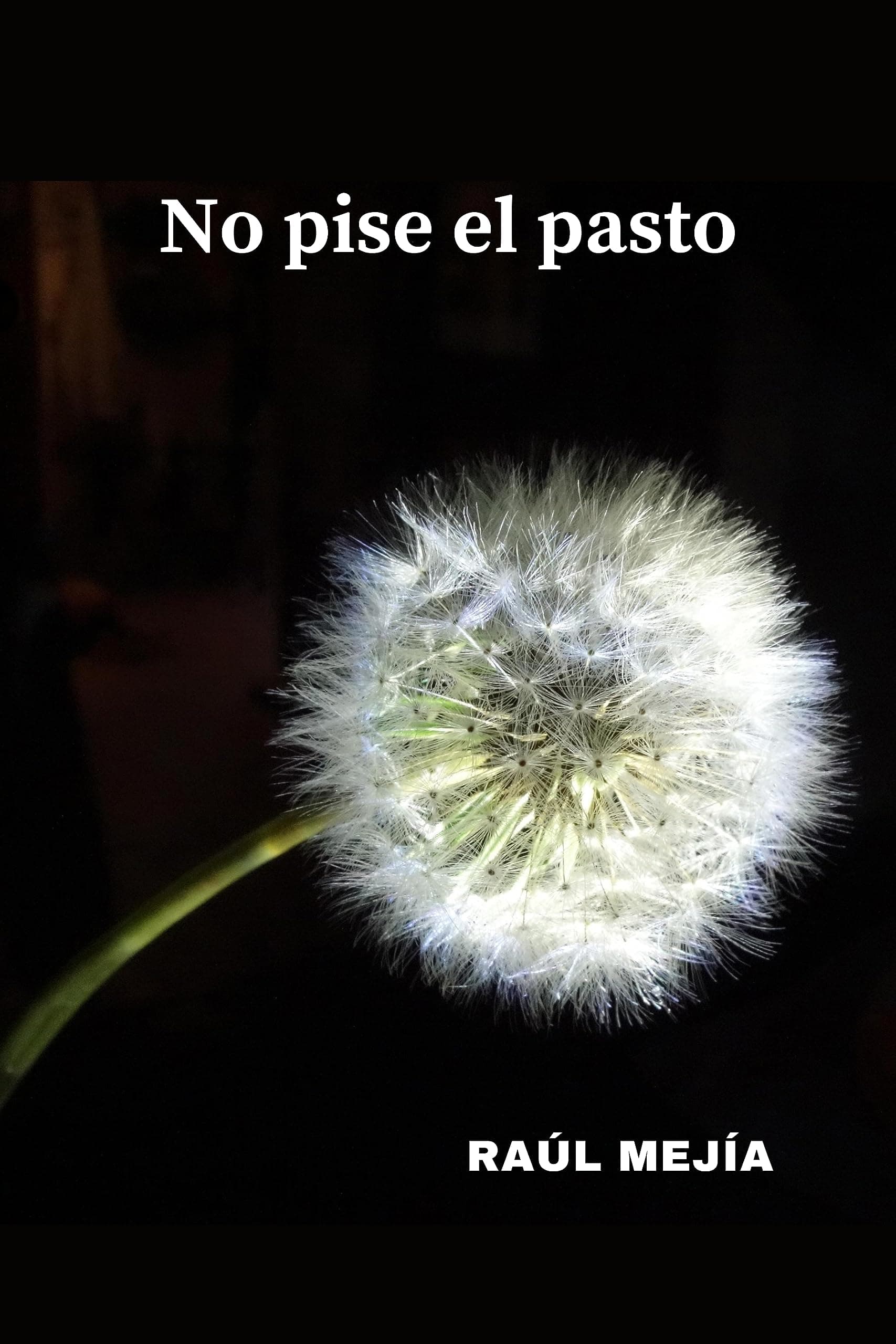 No pise el pasto (Spanish Edition)