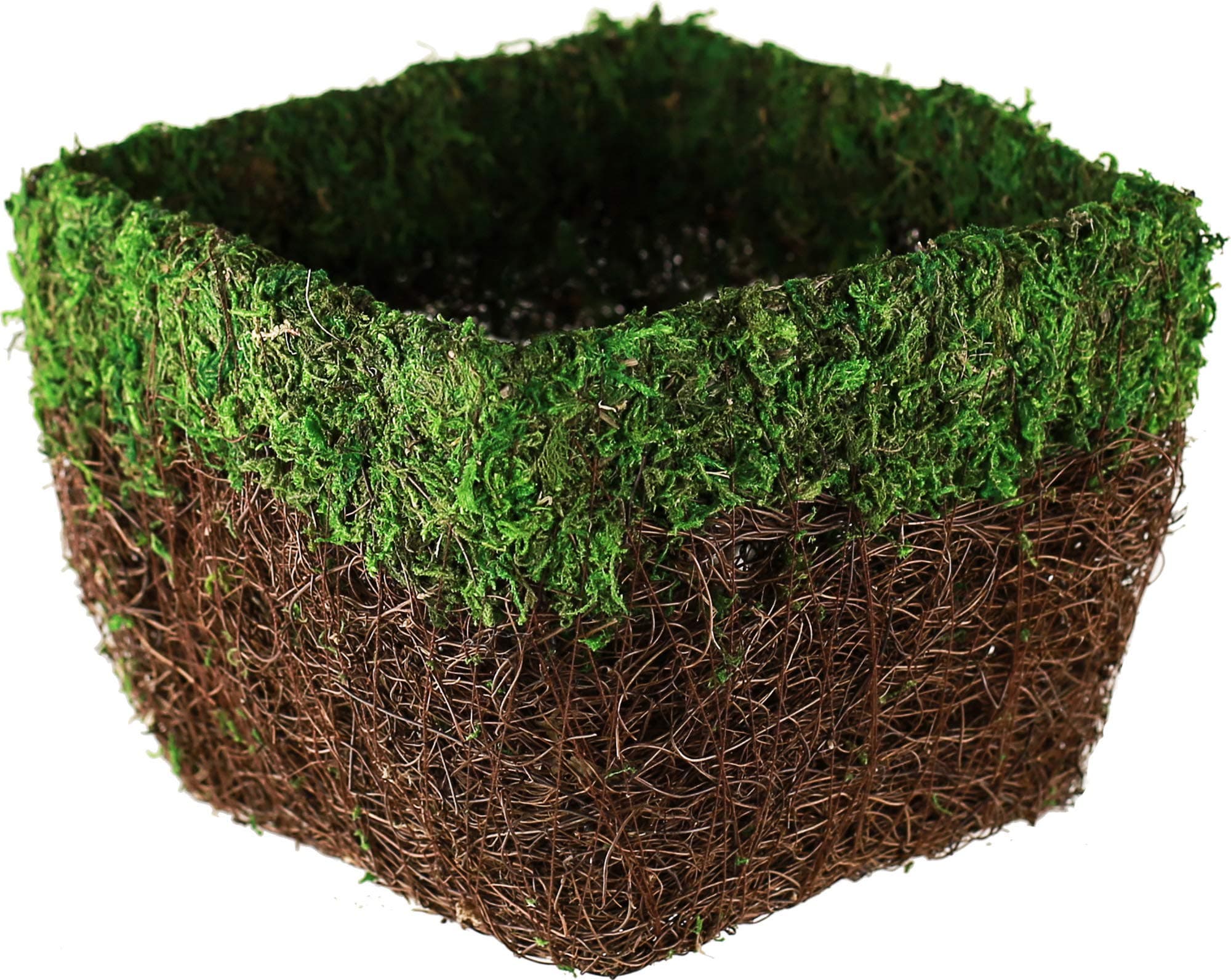 BELLA MOSS123112070 Maya Planter, Green