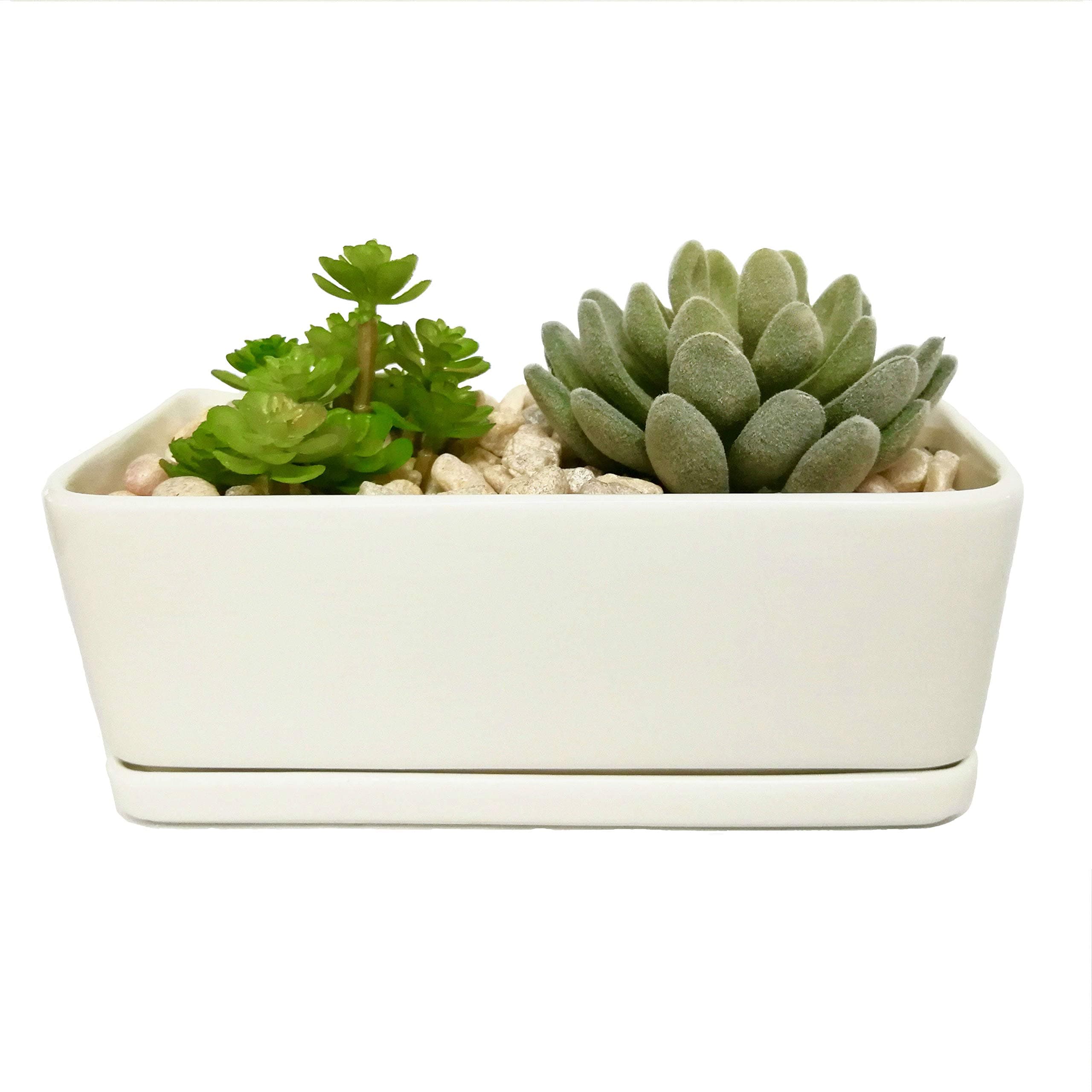 Rectangular White Porcelain Planter with Tray. Maikai Products Ceramic Minimalist Contemporary Pot. Great for Succulents/Cactus. Ideal Home and Office Decor.