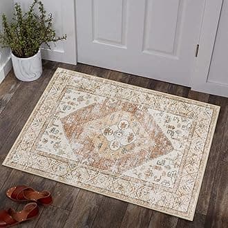 Lahome Boho Kitchen Rugs Washable - 2x3 Small Non-Slip Entry Rugs for Inside House Oriental Throw Area Rugs for Bedroom Accent Distressed Floor Doormat Carpet for Bathroom Entryway Laundry Living Room