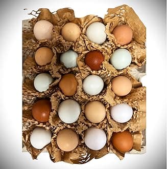 Free to Range Hen Eggs (18)