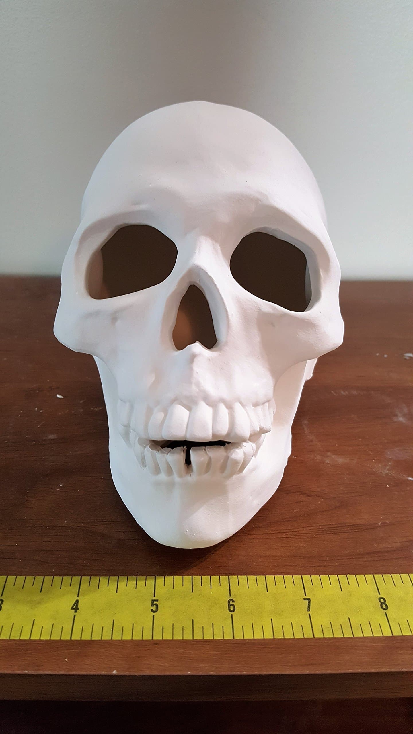 Realistic Skull Ceramic Bisque Paint your own Pottery