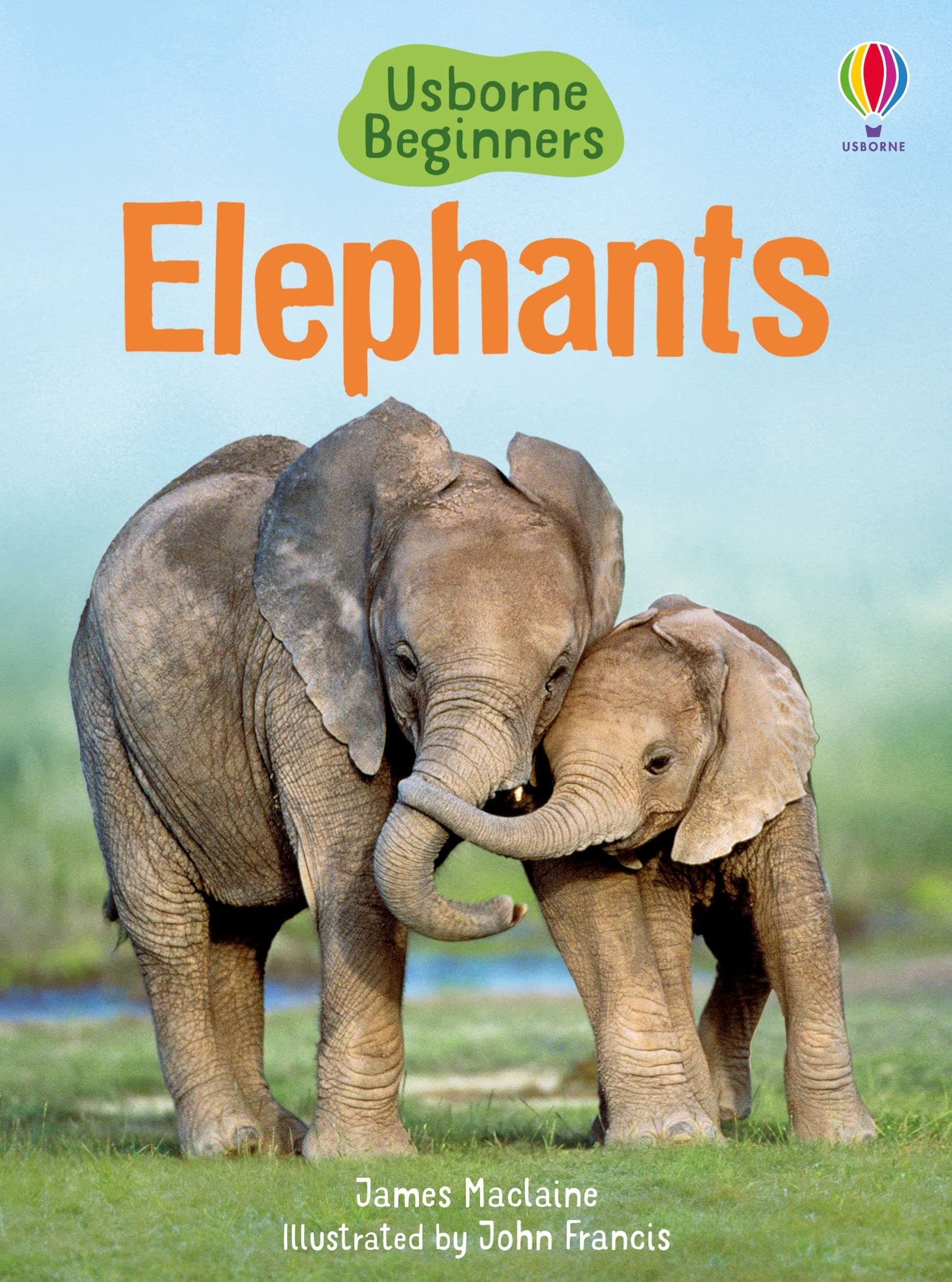 Beginners Elephants