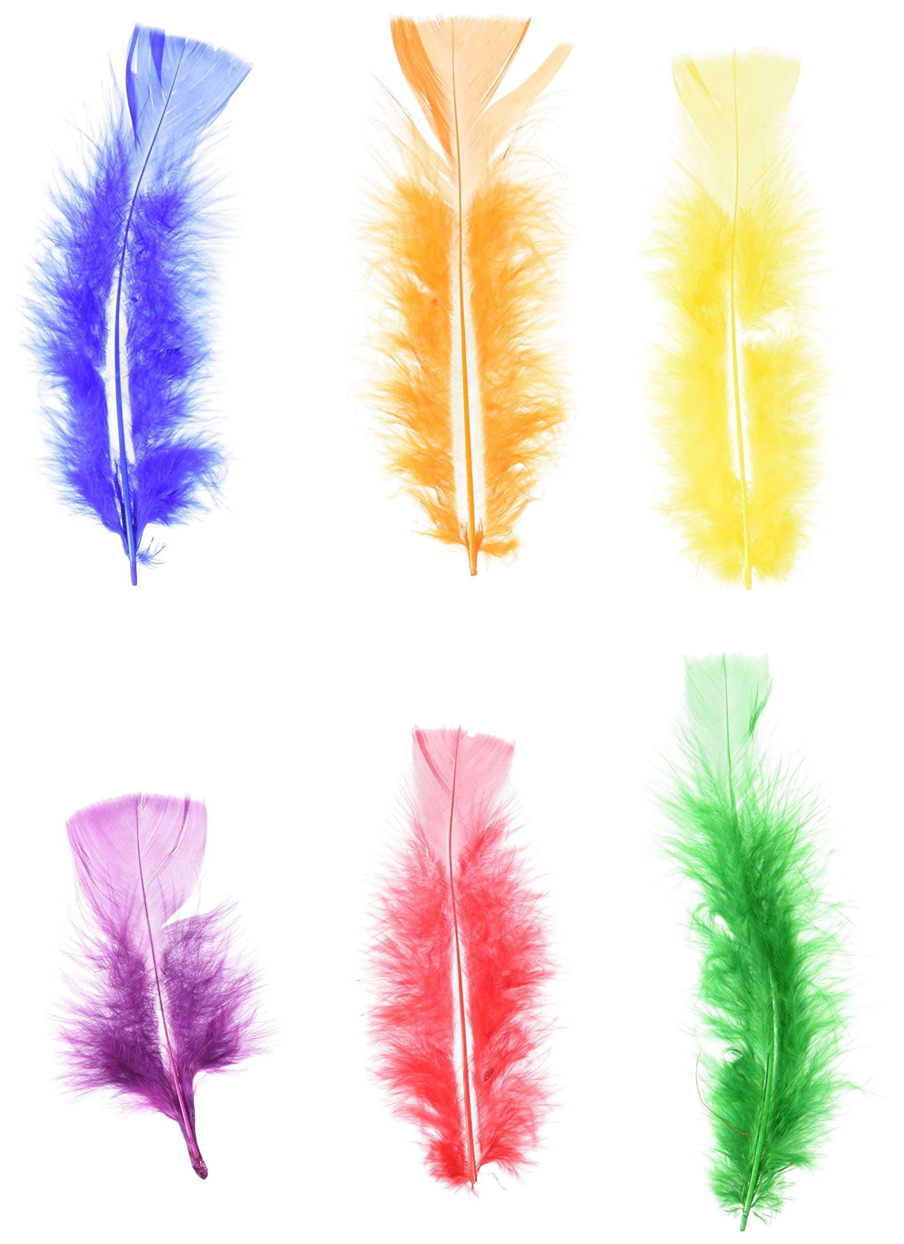 Zucker B708S-RAINB Turkey Flat Feather, Rainbow, 36-Pack