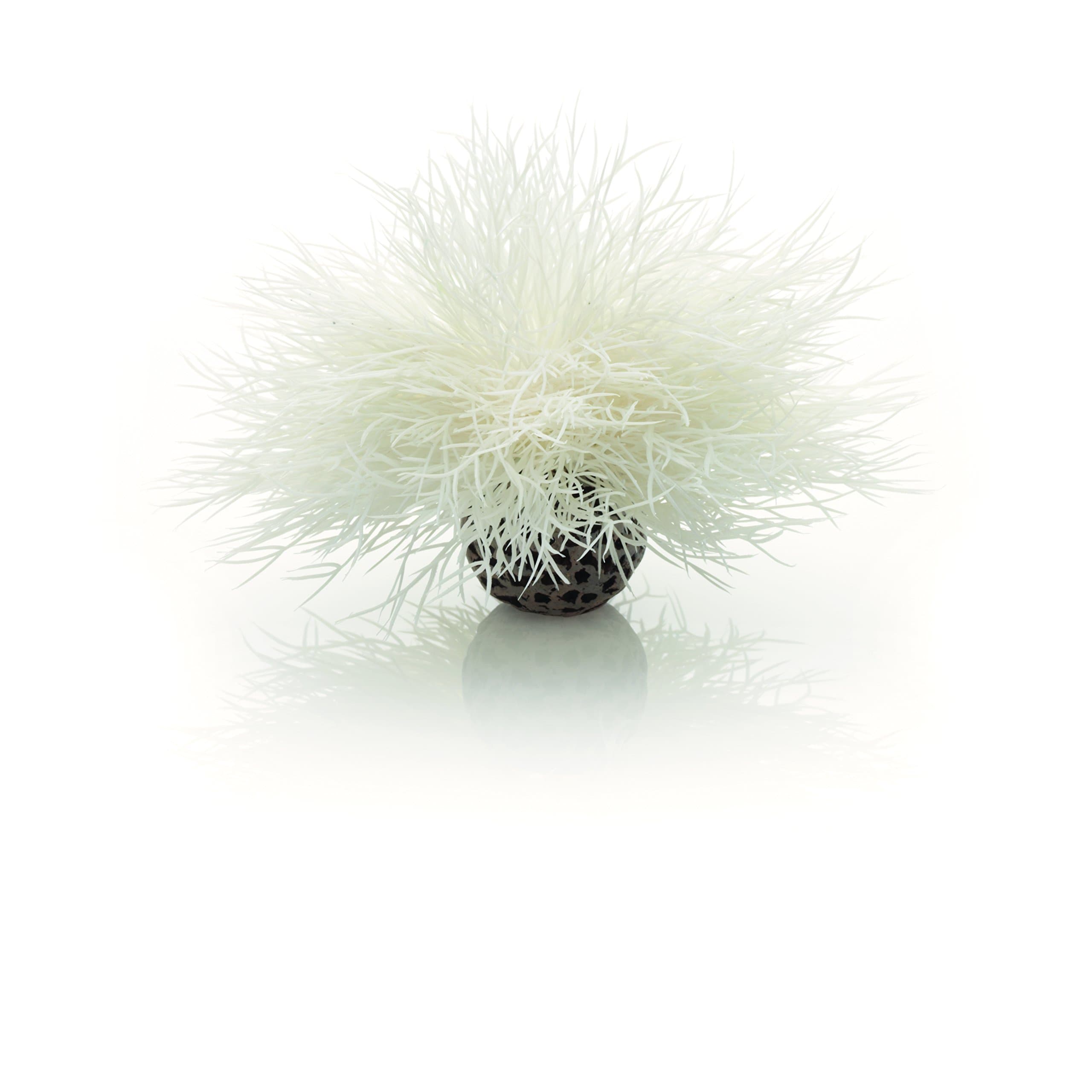 biOrb Aquarium Sea Lily White