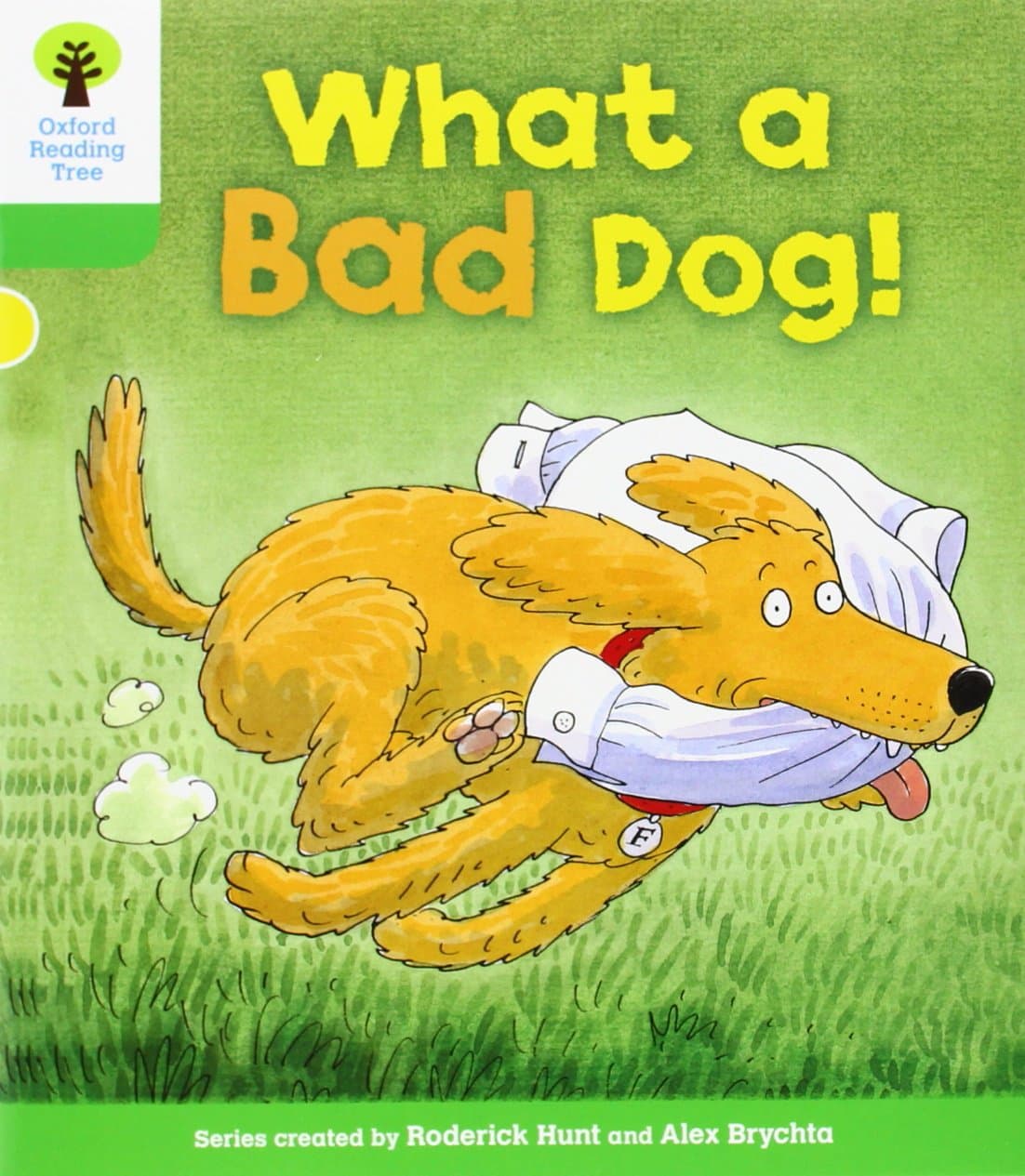 Oxford Reading Tree: Level 2: Stories: What a Bad Dog!