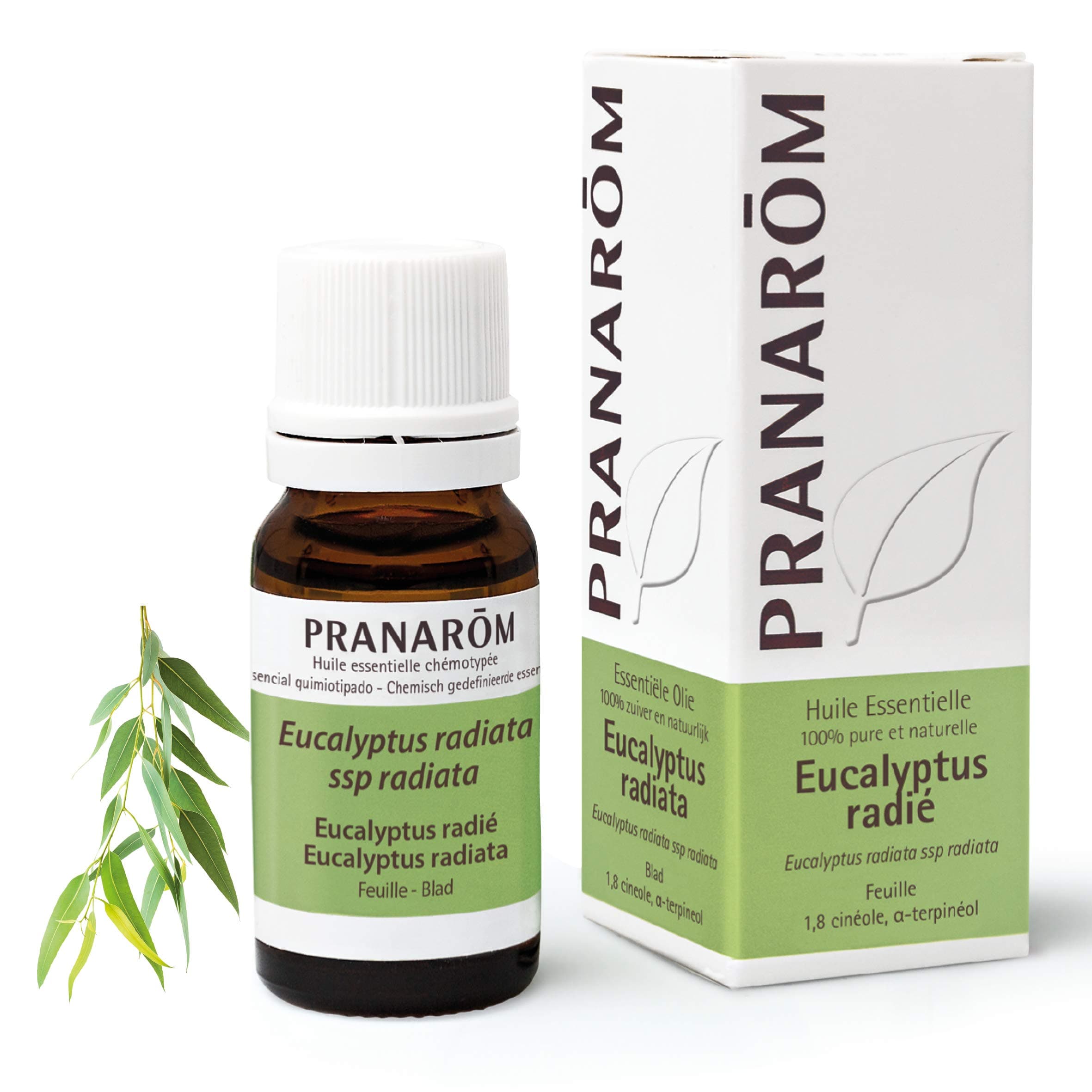 Pranarôm - Eucalyptus Radiata Essential Oil - Leaf - 10 ml