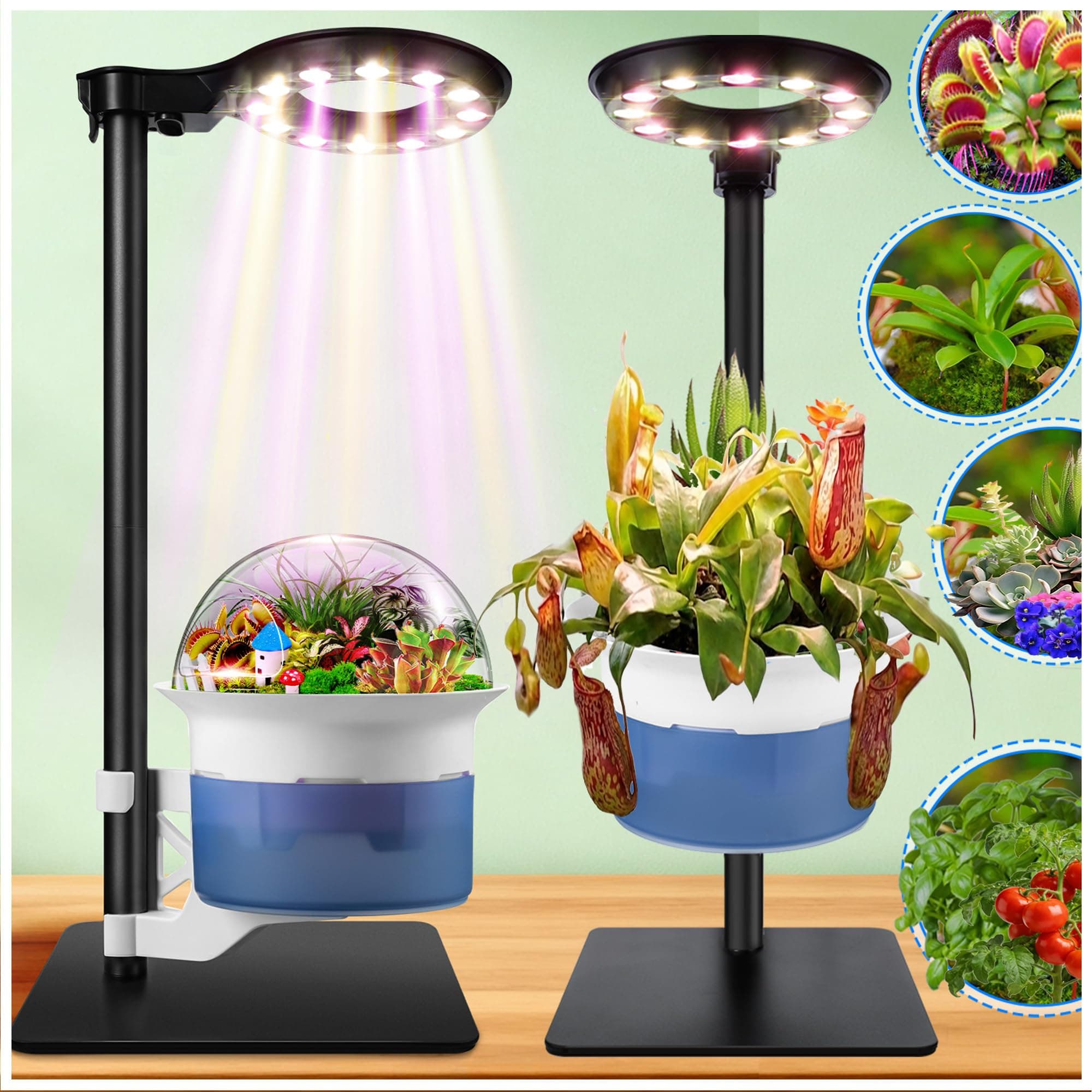 Large Plant Venus Fly Trap Terrarium Kit with Grow Light Timer&Metal Stand, African Violet Pots Self Watering Planter for Herbs,Carnivorous Plants,Gardening for Mom Garden Lover