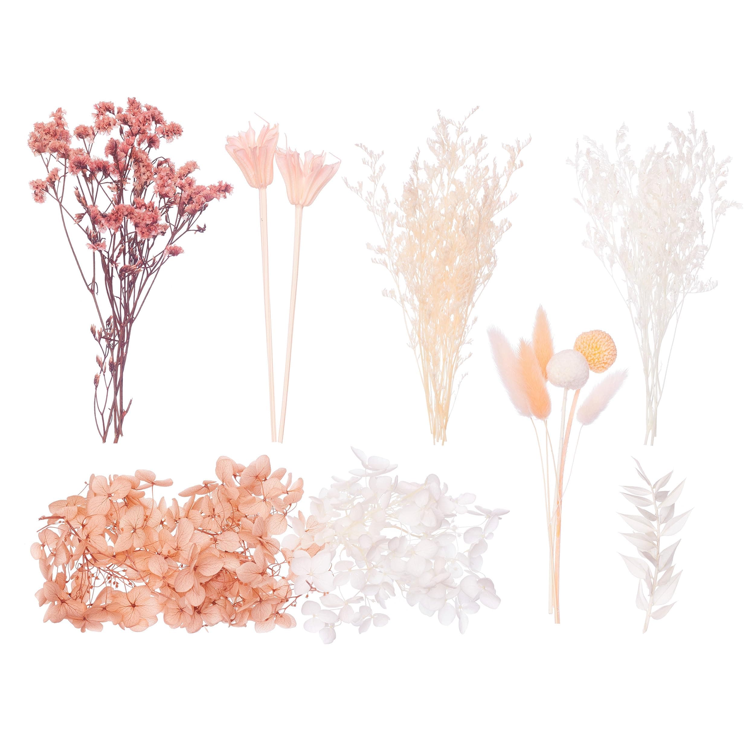 The Baked Studio - Deluxe Dried Flower Set Containing Limonium, Hydrangea, Crystal Grass, Octagonal Flower, Craspedia, Lagurus & Ruscus (Peachy Pinks, White & Orange)