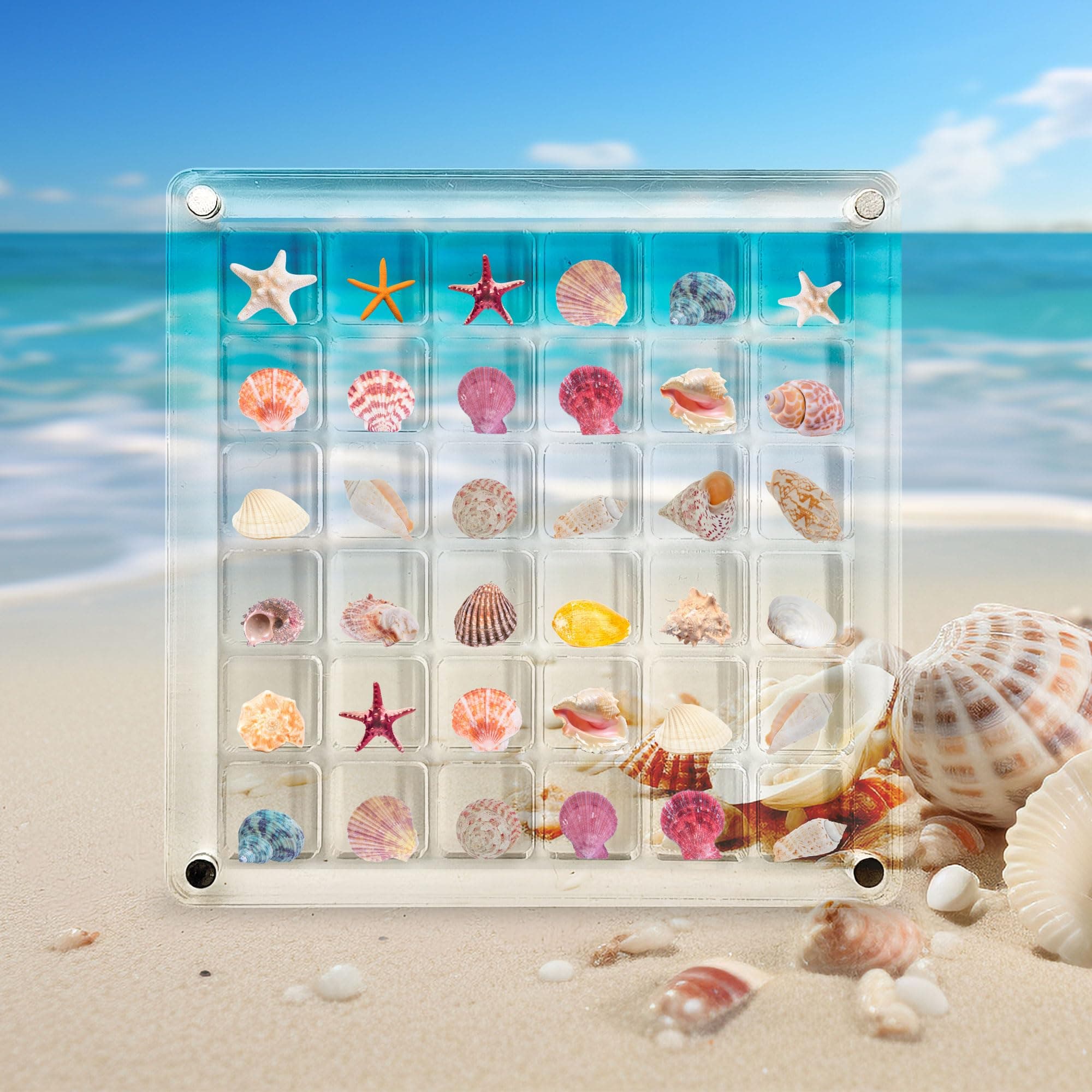CMLY Acrylic Magnetic Seashell Display Box, Acrylic Shadow Box, Clear Acrylic Box, Acrylic Boxes for Display, Multifunctional Jewelry Display Organizer Case (36 Grids), xt-2532-1