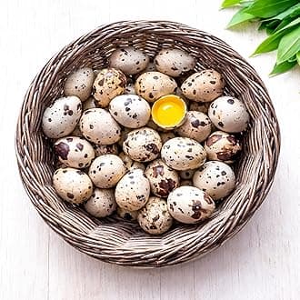 FARM FRESH Quail Eggs *Laid in the U.S.* Hormone Free; Non-GMO - (36+ Count) *Eating Eggs*